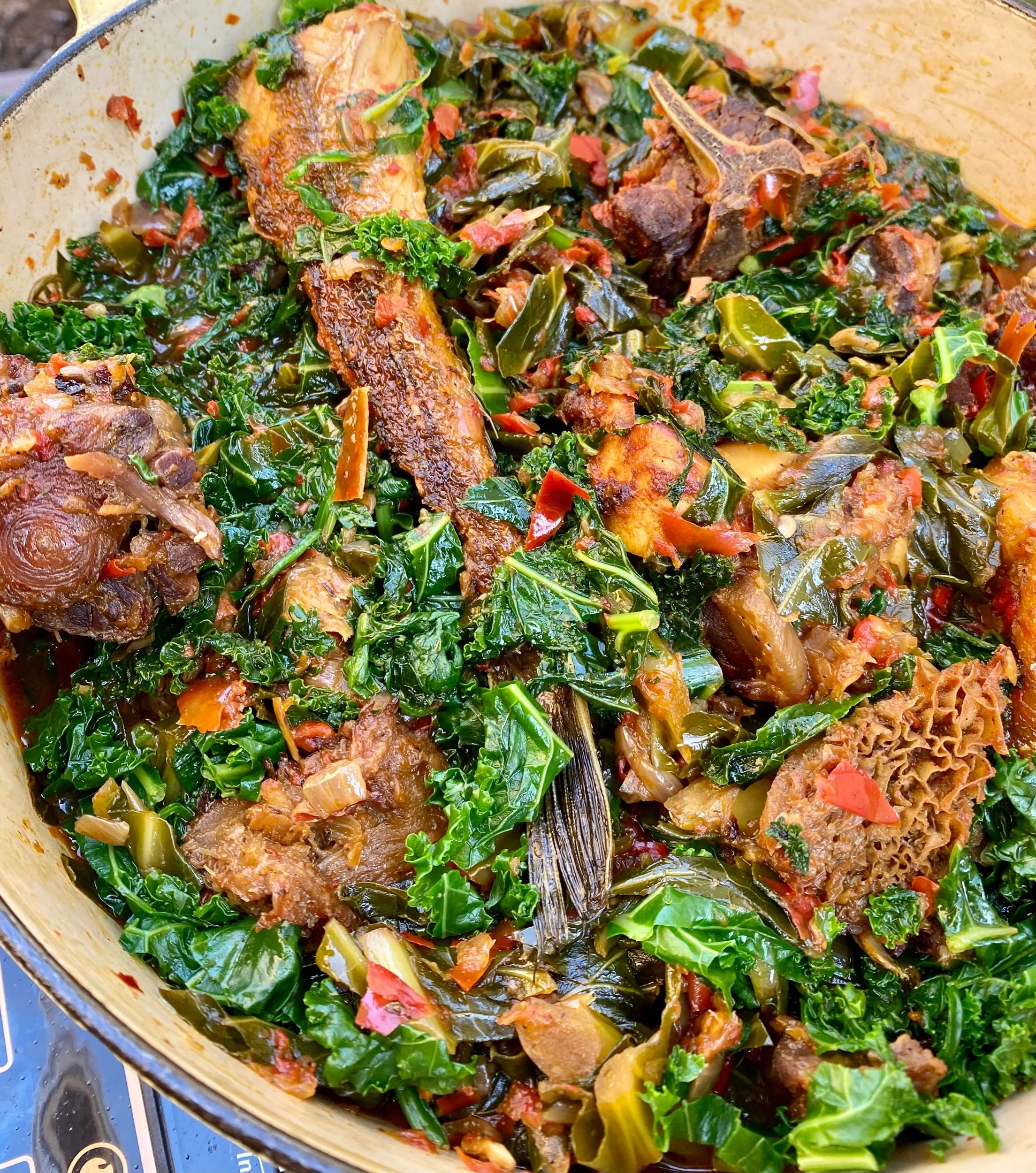 EFO RIRO