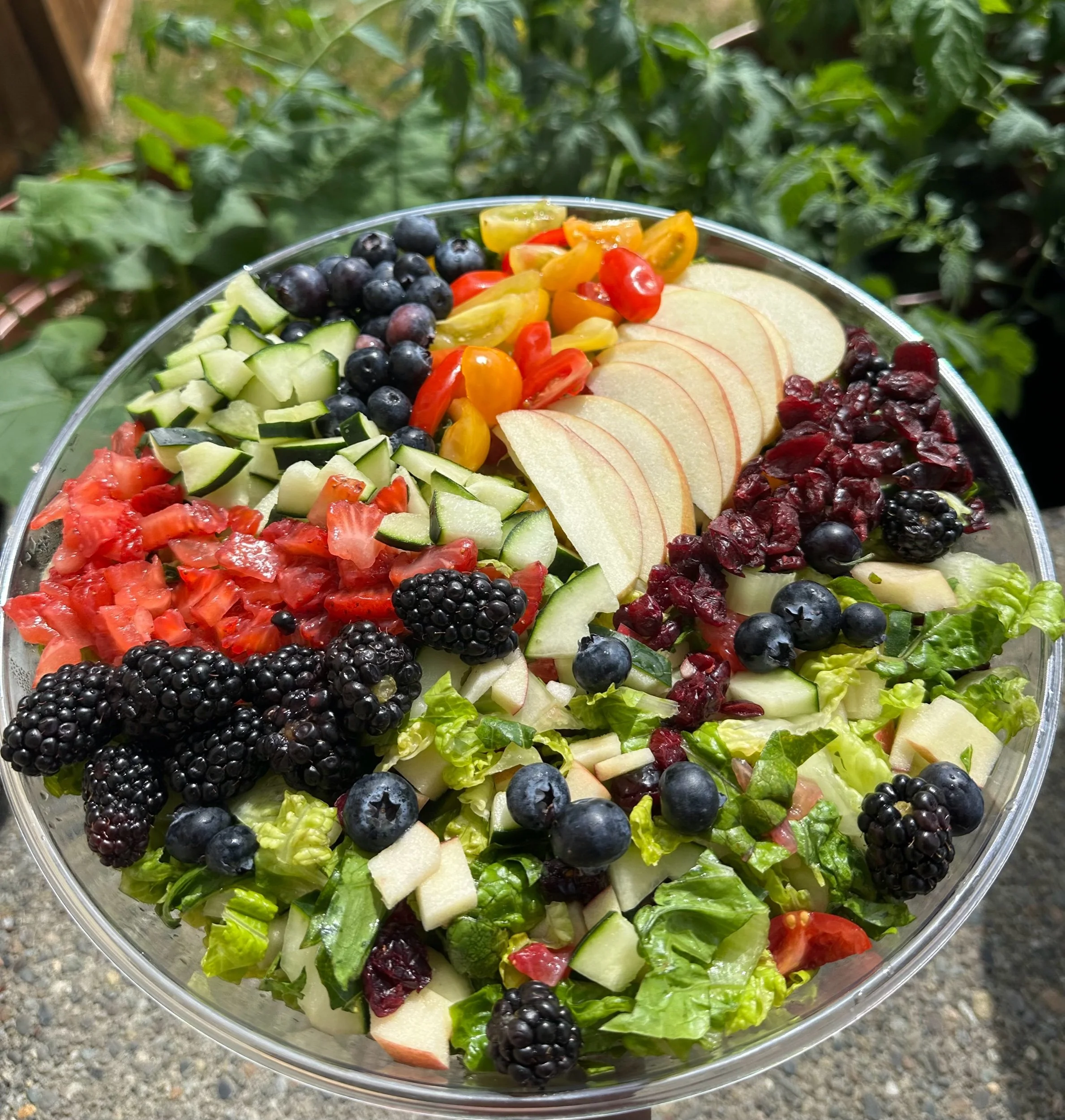 TASTE TUTOR SIGNATURE SALAD