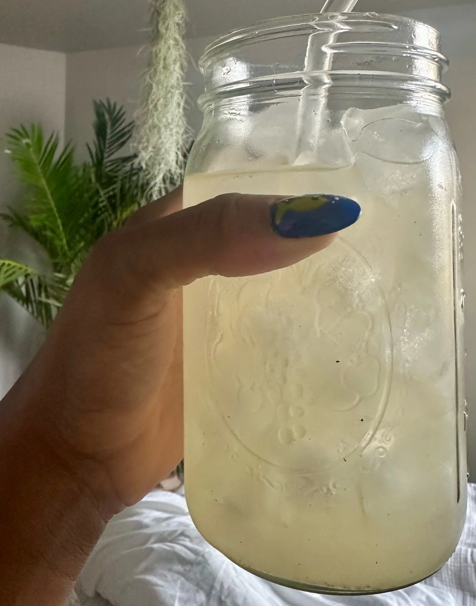 LEMON VANILLA BEAN GINGER ALE