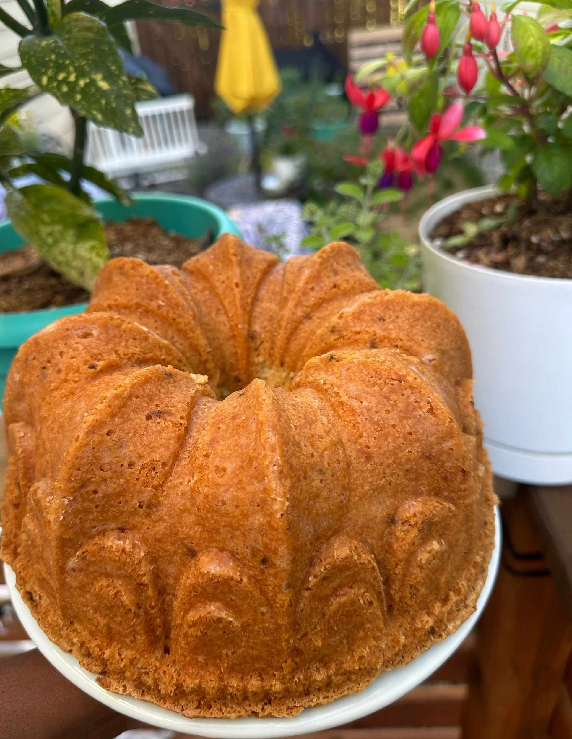 TOASTED COCONUT POUND CAKE