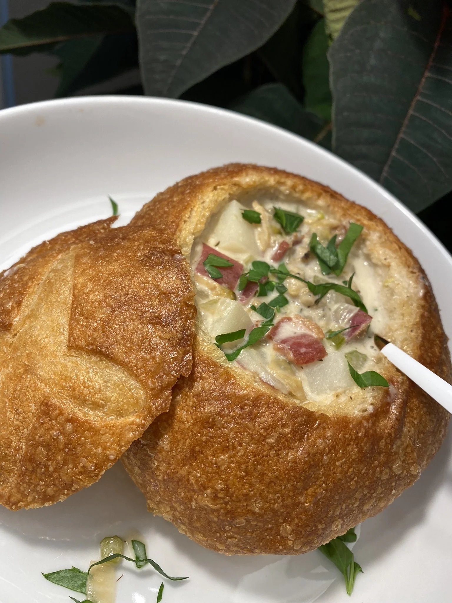 CLAM CHOWDER