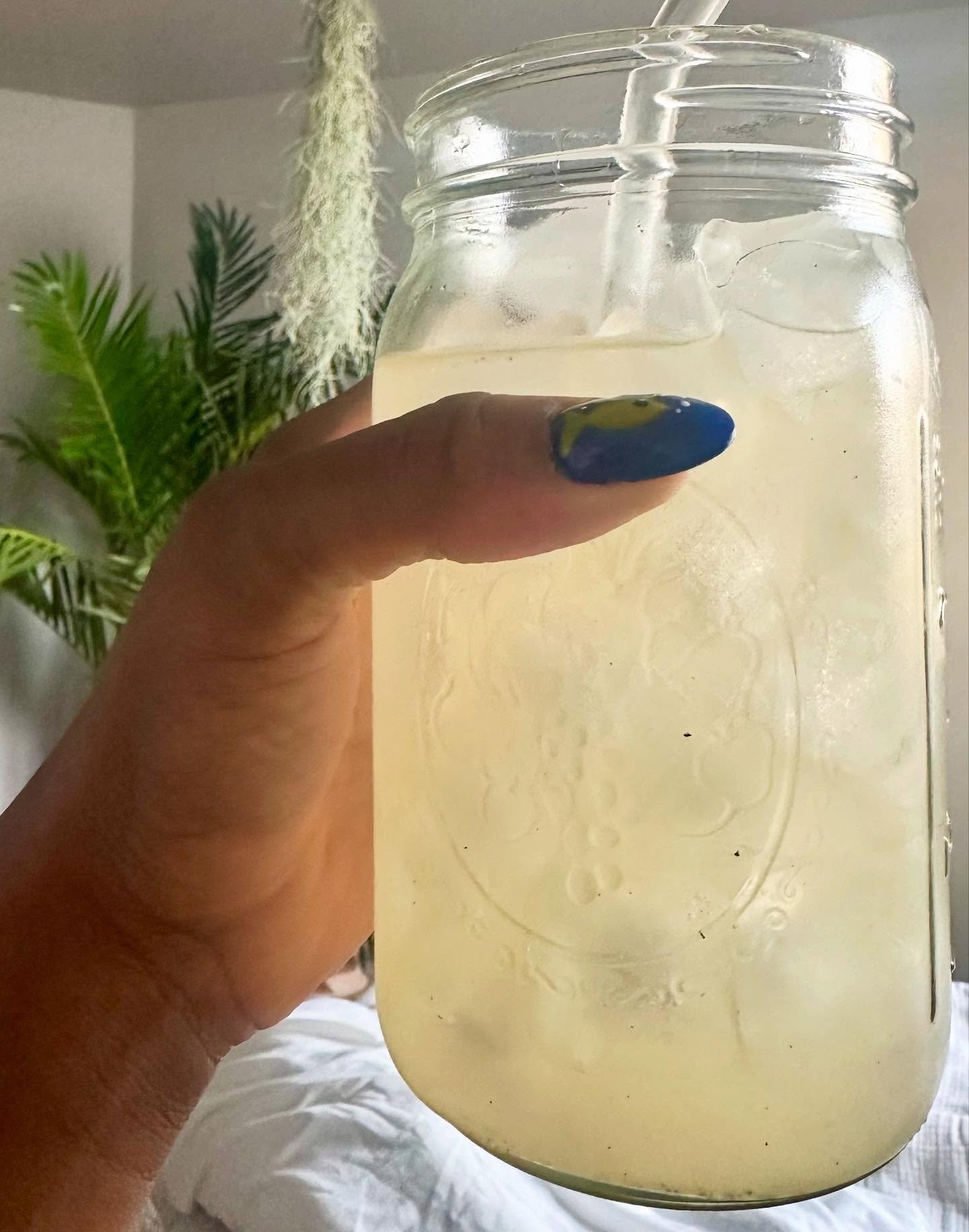 LEMON VANILLA BEAN GINGER ALE 🍋🫚 | My latest obsession! ✨