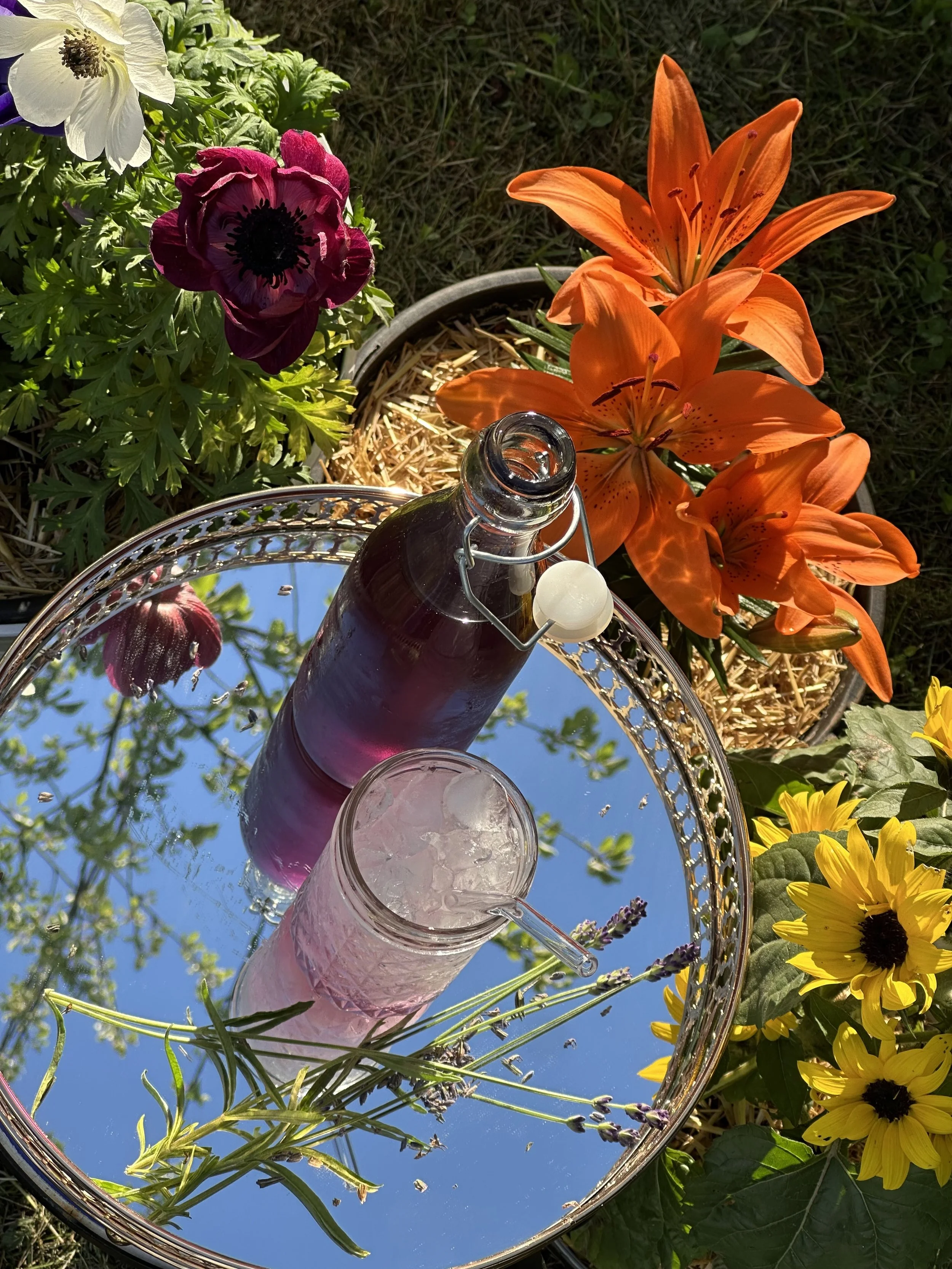 LAVENDER BUTTERFLY PEA SYRUP