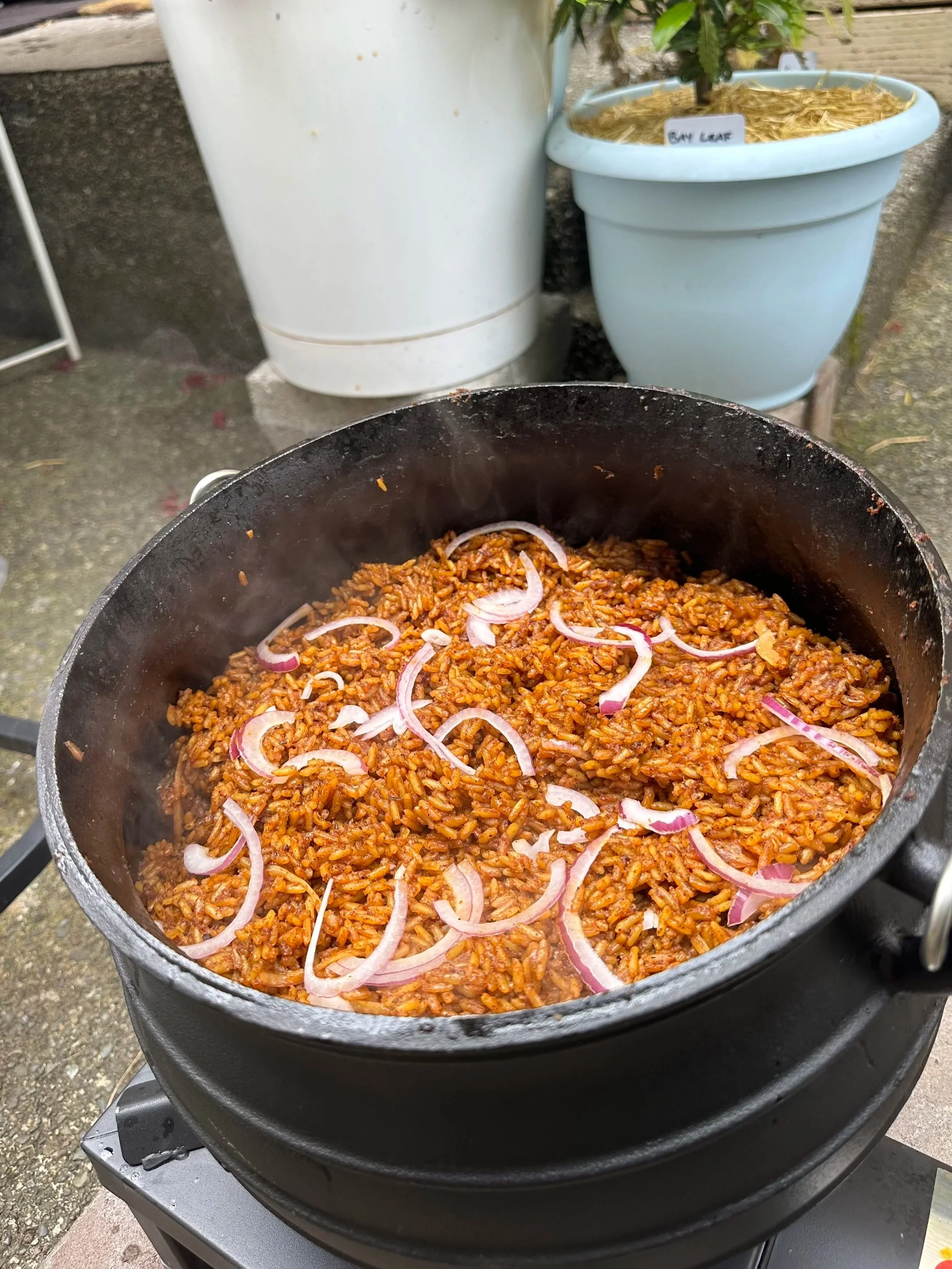 JOLLOF RICE