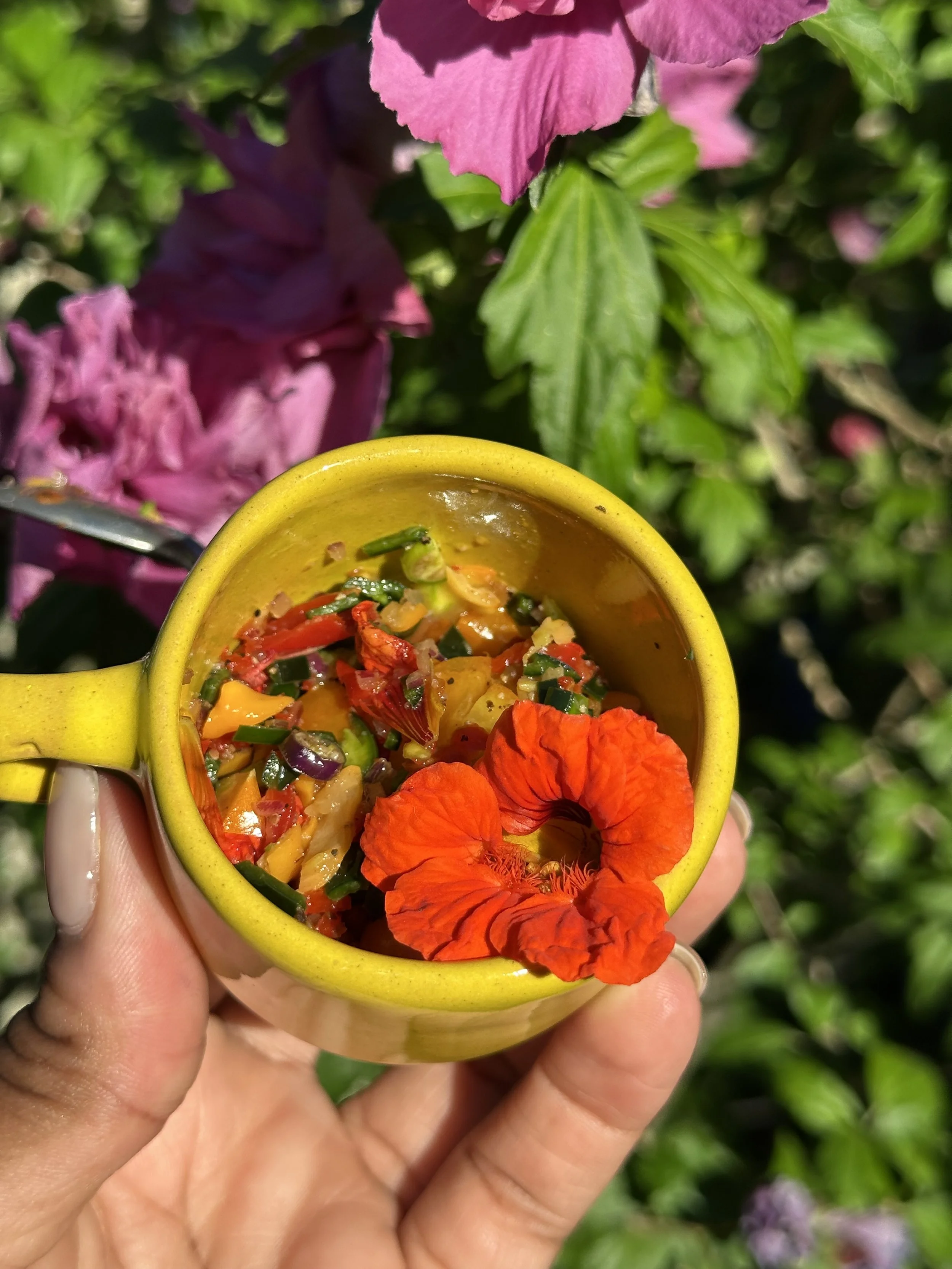 NASTURTIUM GARDEN PEPPER SALSA