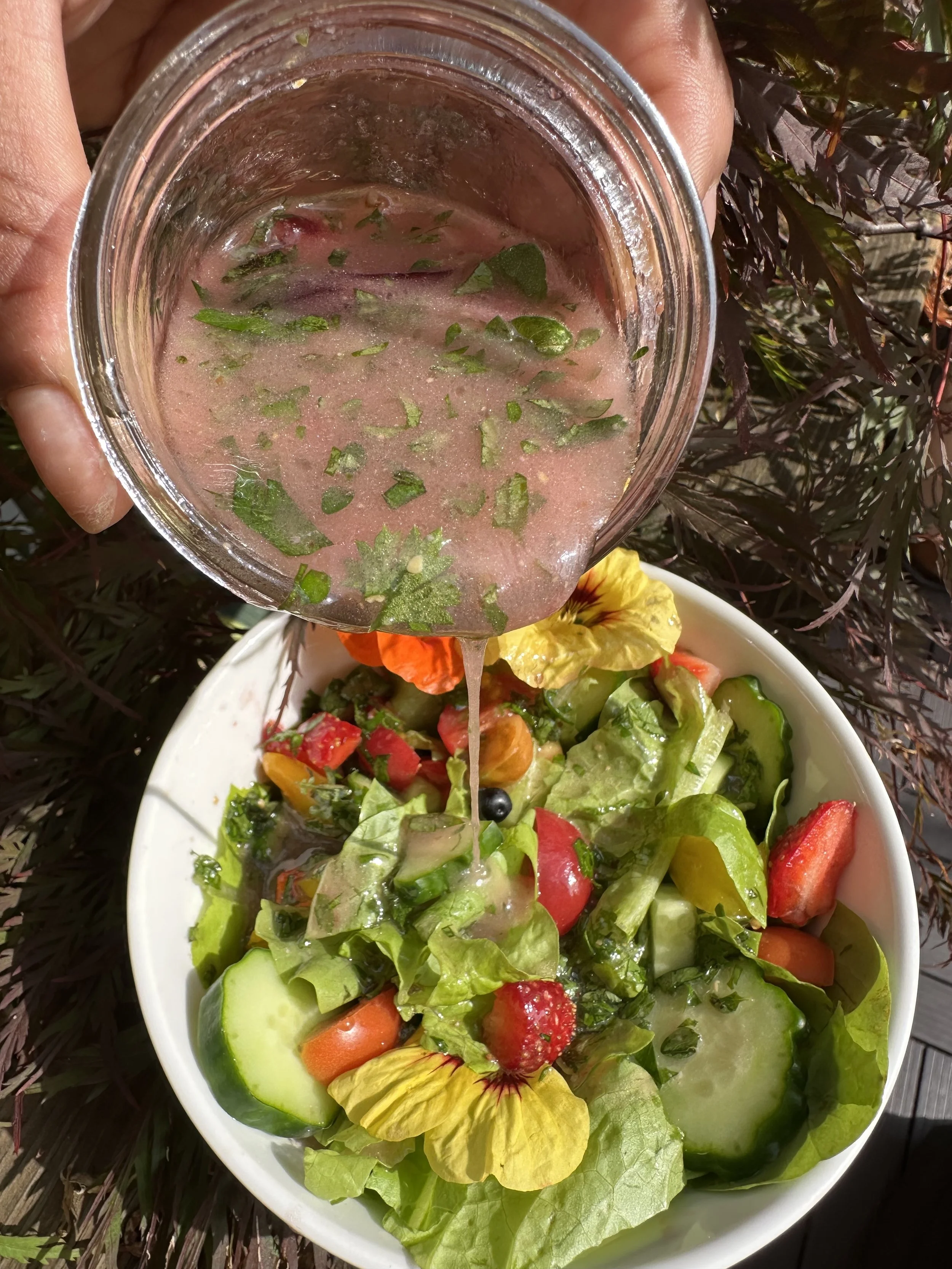 HIBISCUS ITALIAN VINAIGRETTE