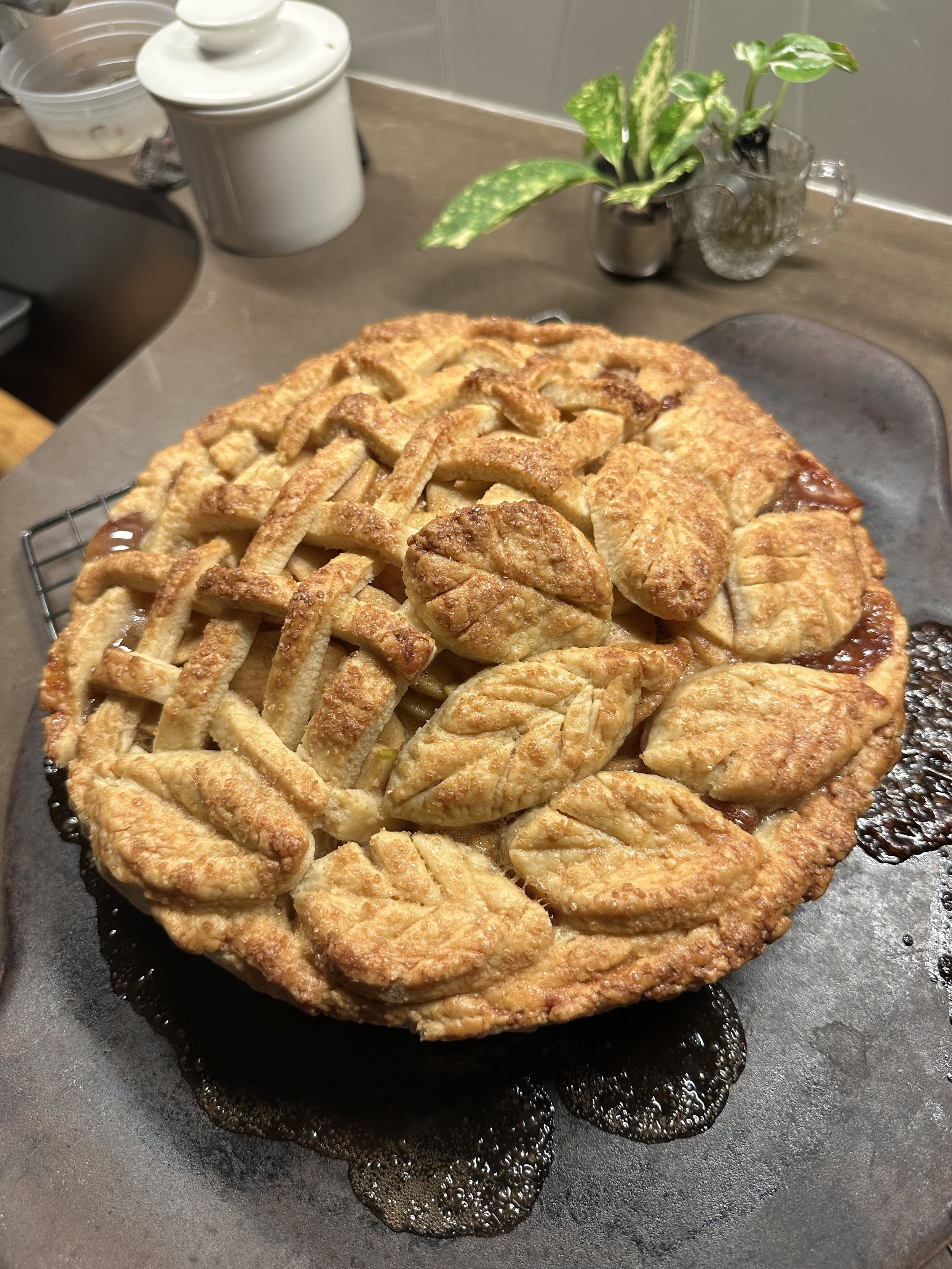 THE ULTIMATE APPLE PIE
