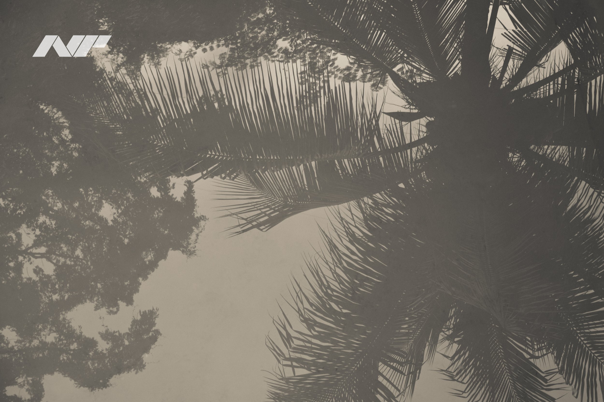 PE // 0070