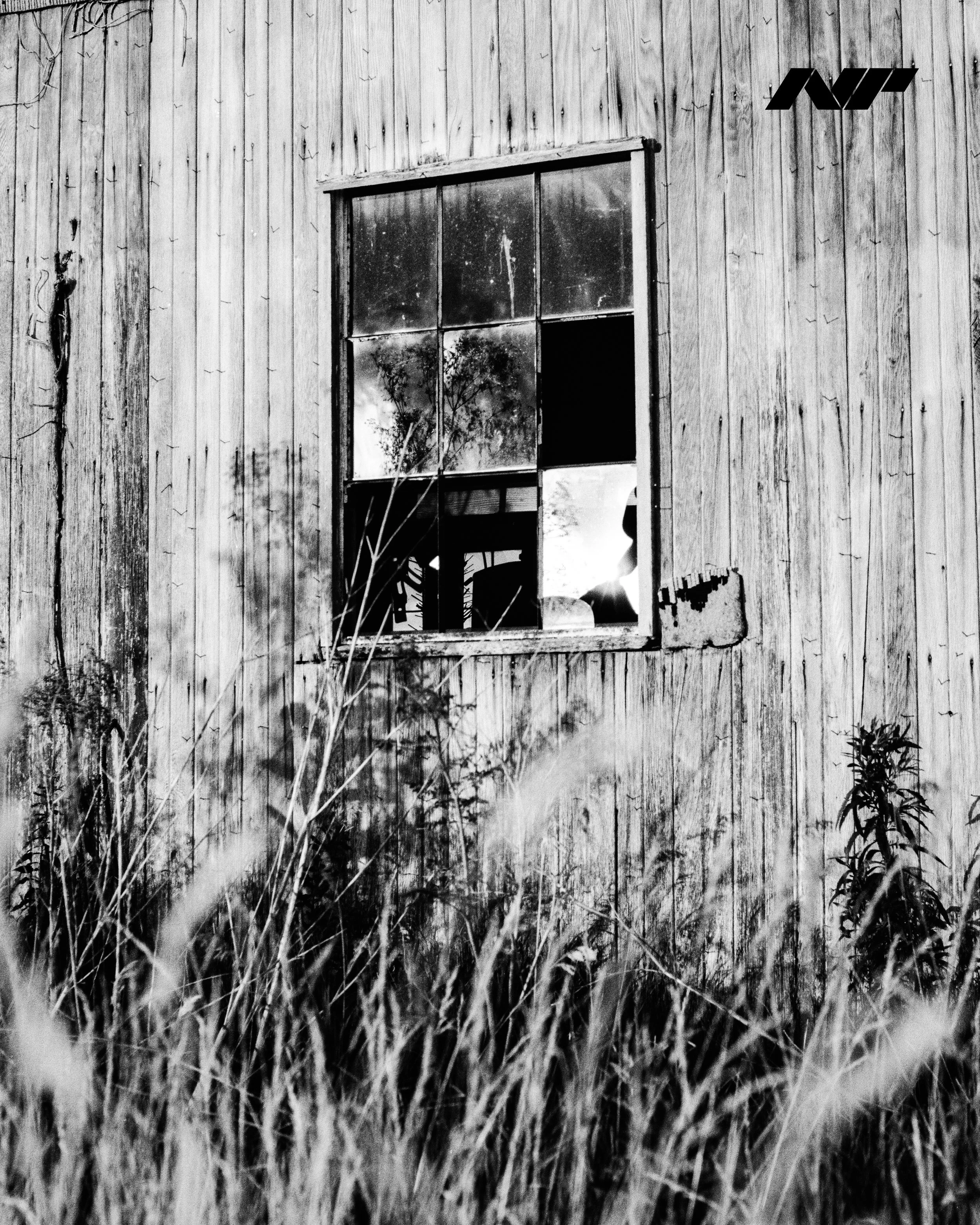 Nathan-Piper-www.natepiper.net-Nikon-F5-Fujifilm-Neopan-100-Acros-II-Democratic-Forest-Summer-2023-2-Indiana-3-NP.jpg