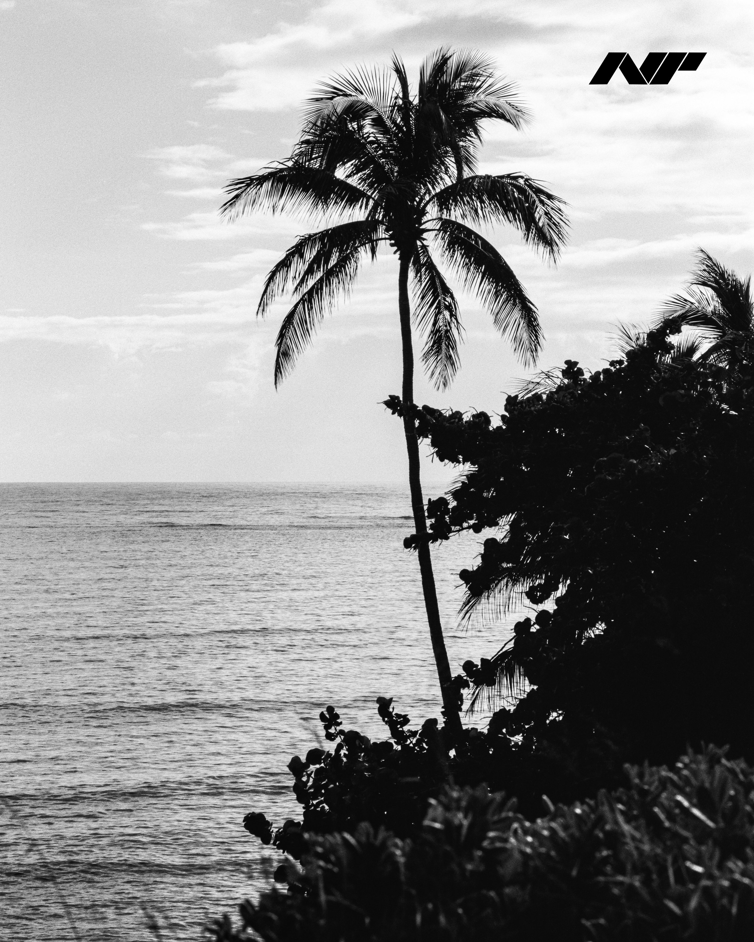 Nathan-Piper-www.natepiper.net-Nikon-F5-Fujifilm-Neopan-100-Acros-II-Hawaii-2023-4-NP.jpg