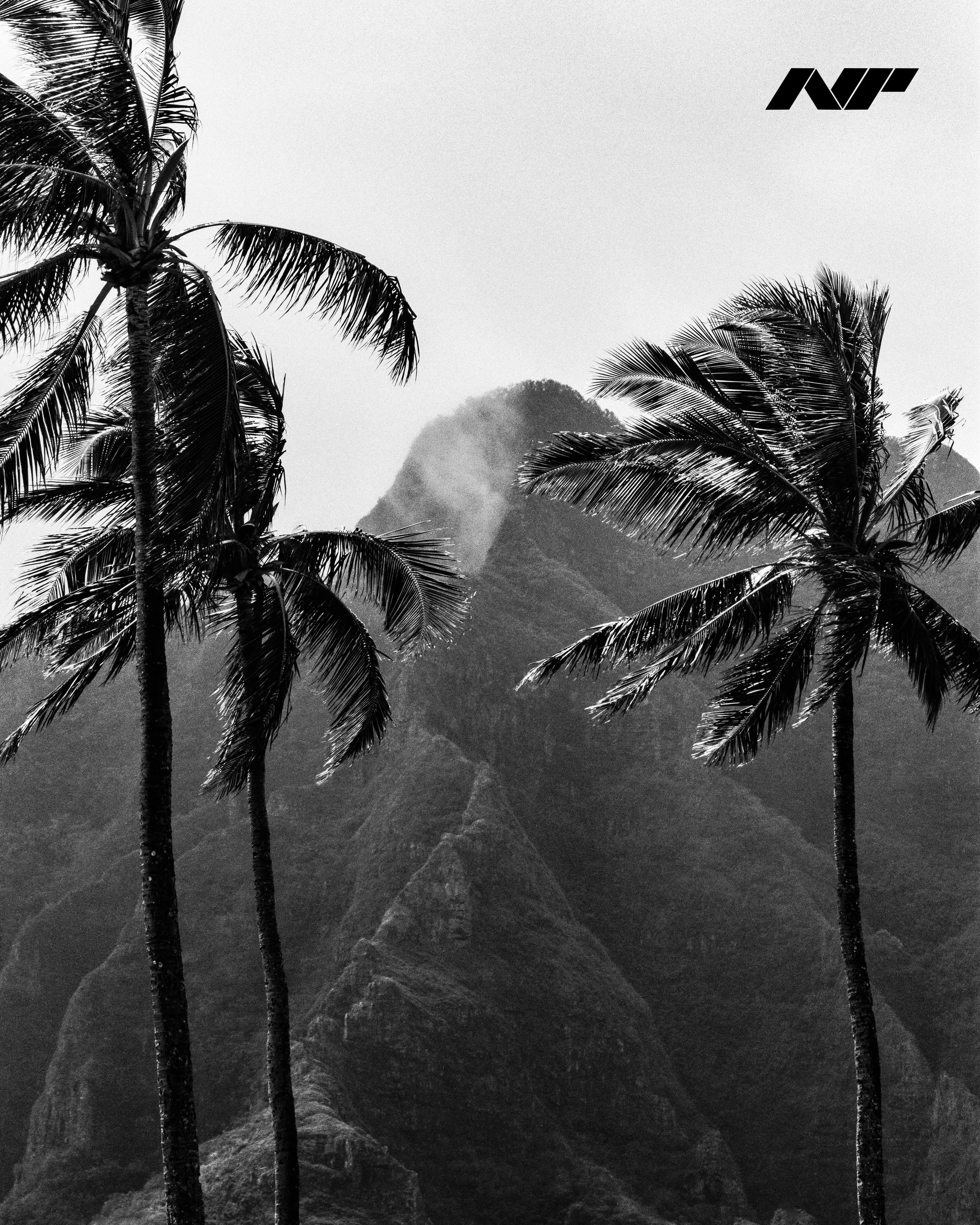 Nathan-Piper-www.natepiper.net-Nikon-F5-Fujifilm-Neopan-100-Acros-II-Hawaii-2023-1-NP.jpg