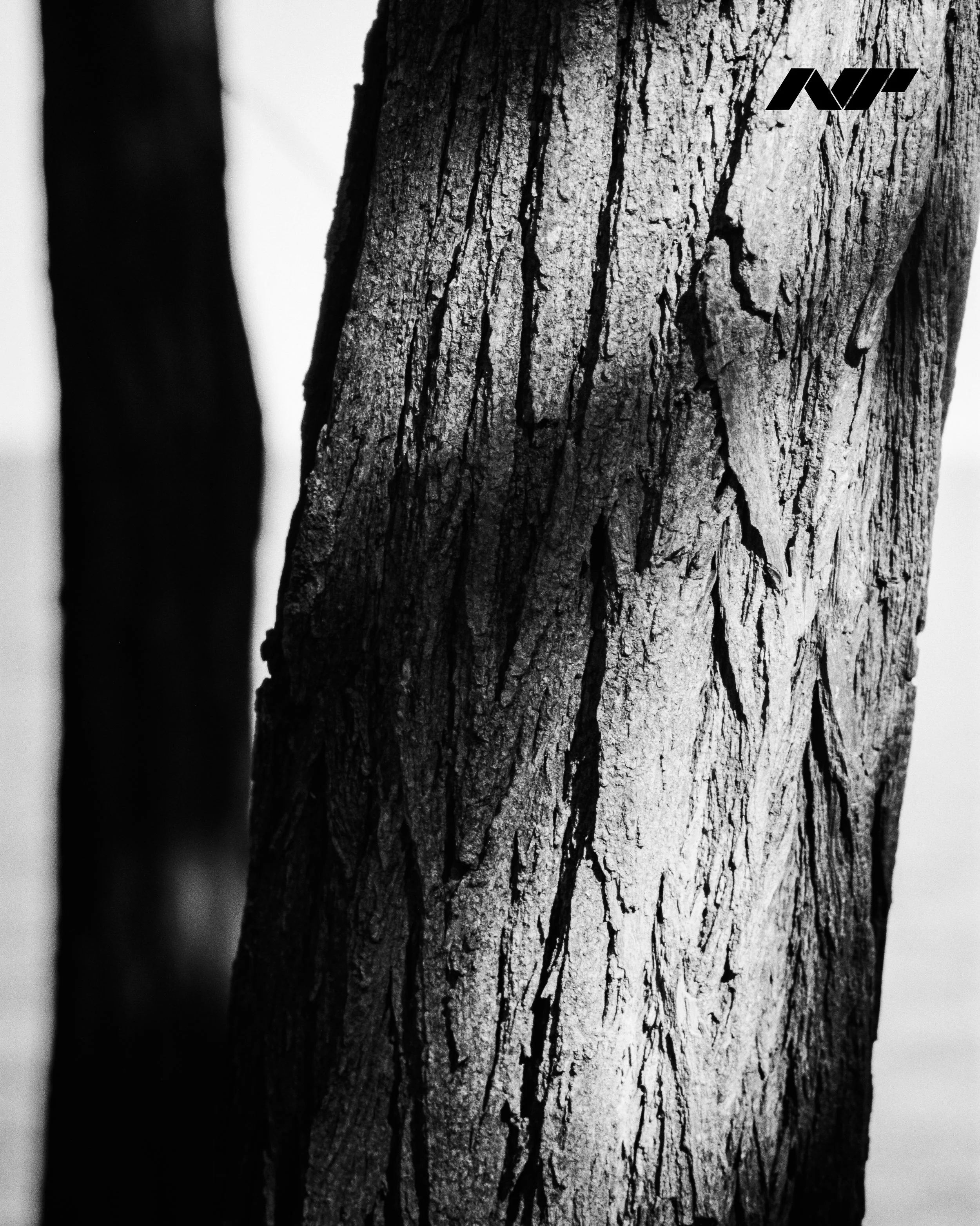 Nathan-Piper-www.natepiper.net-Nikon-F5-Fujifilm-Neopan-100-Acros-II-Michigan-Summer-2024-4x5-NP-1.jpg