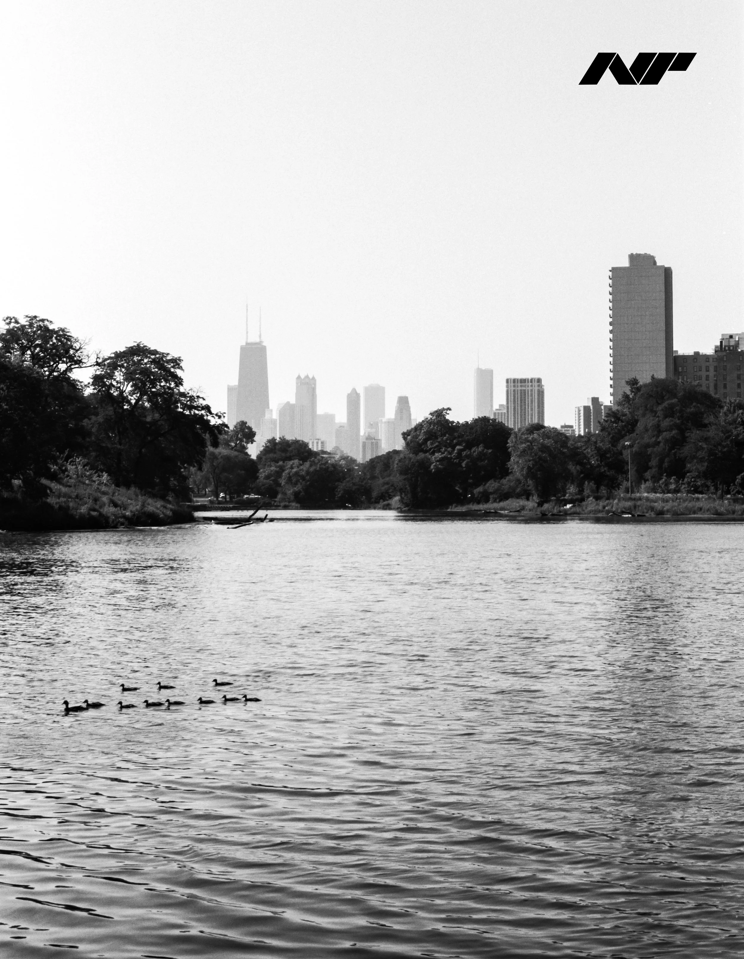 Nathan-Piper-www.natepiper.net-Nikon-F5-Kodak-TMAX-100-Illinois-2025-NP-3.jpg