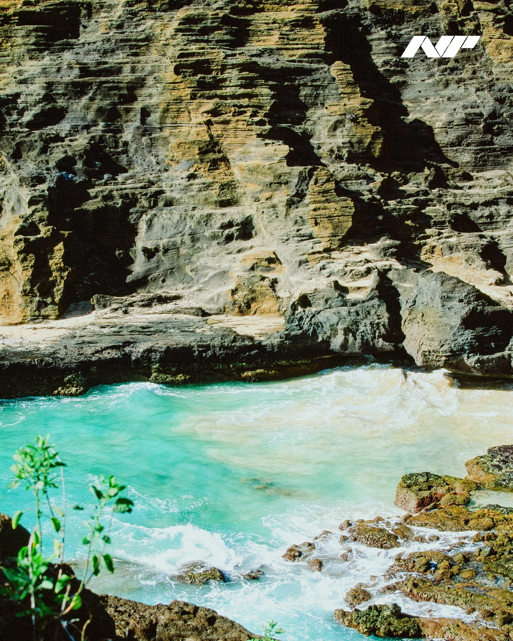 Nathan-Piper-www.natepiper.net-Nikon-F5-Fujifilm-Fujichrome-Velvia-50-Hawaii-2023-2.jpg