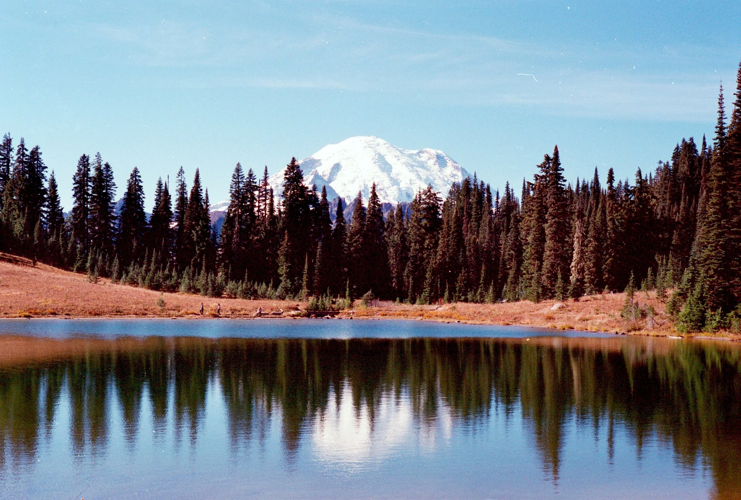 M6_Seattle_Oct2018_Roll2 (8).jpg
