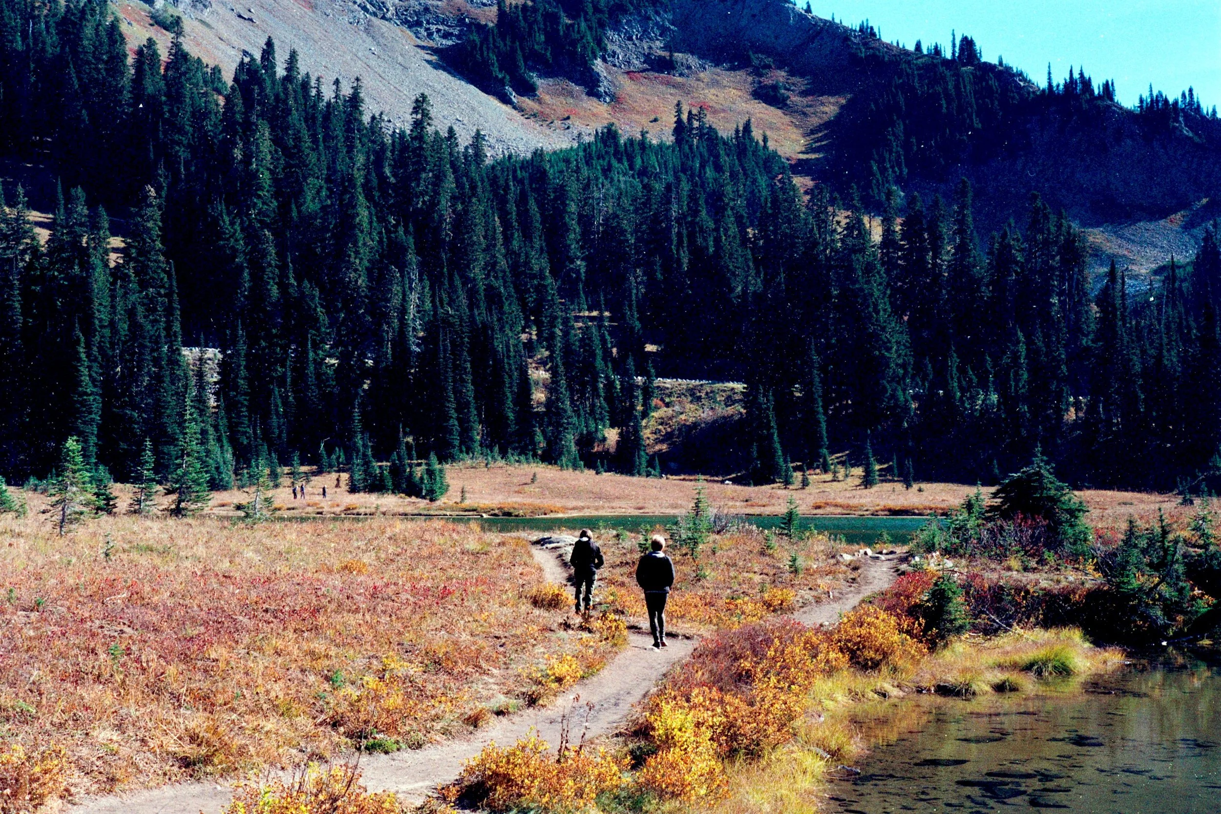 M6_Seattle_Oct2018_Roll2 (5).jpg