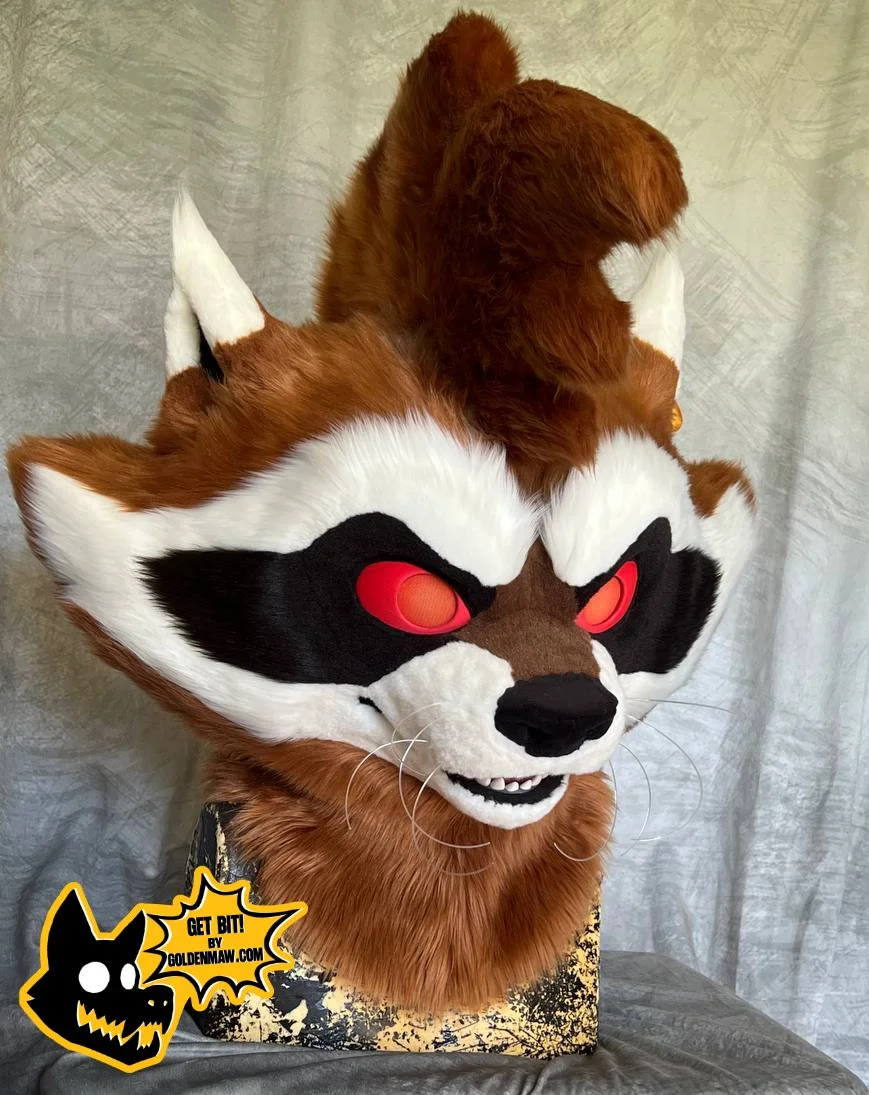 raccoon3.jpg
