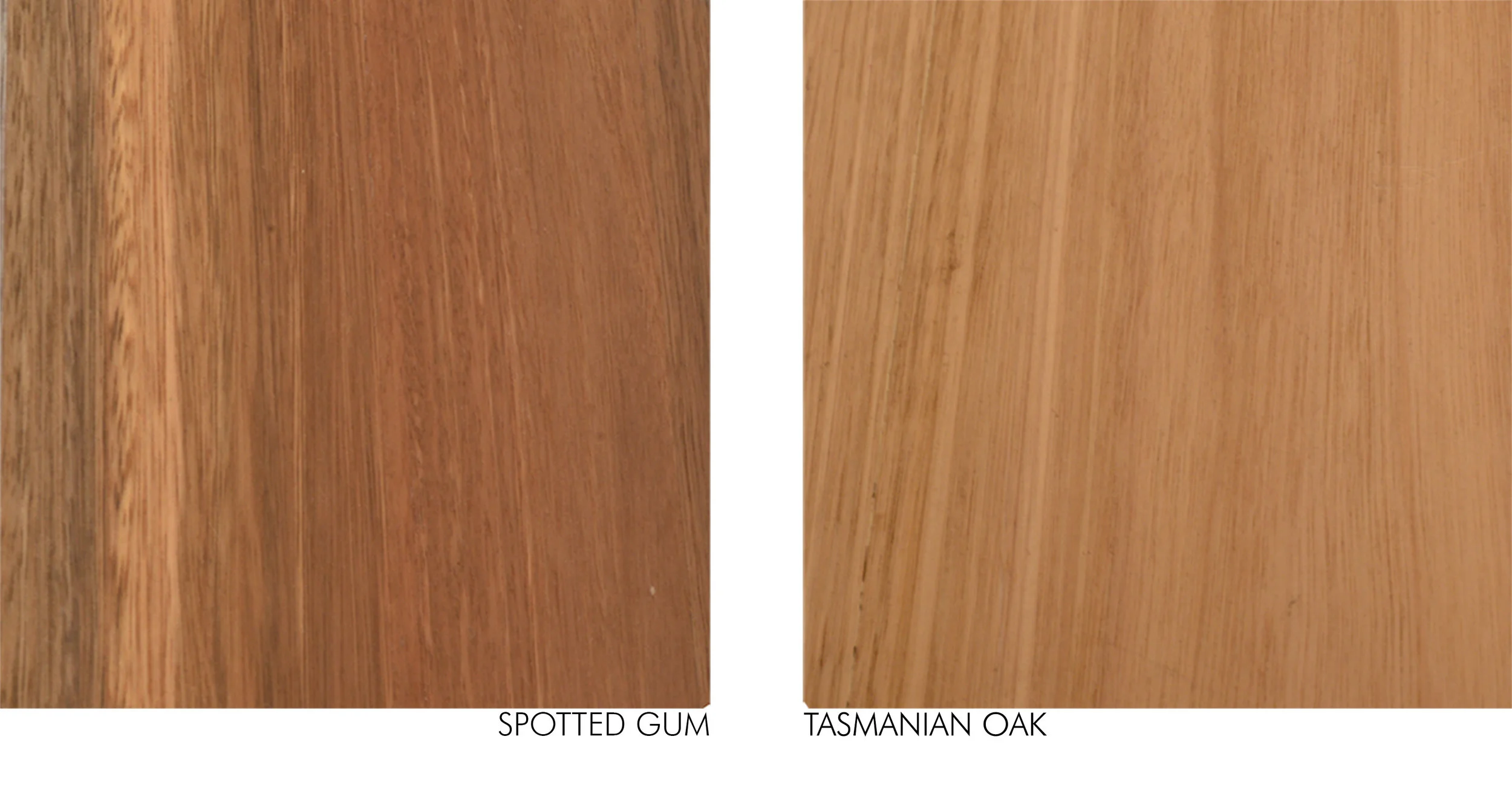 Spotted Gum vs Tas Oak.jpg