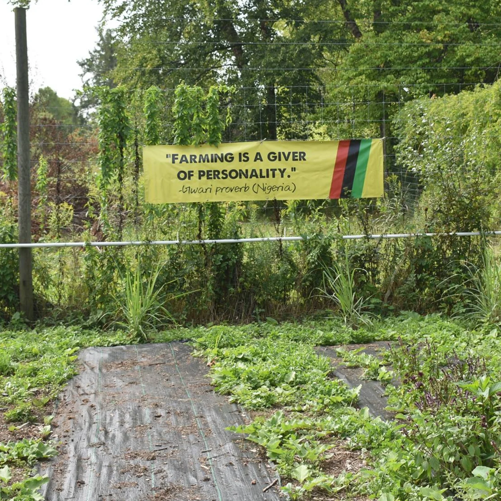 Tubman Garden banner.jpg