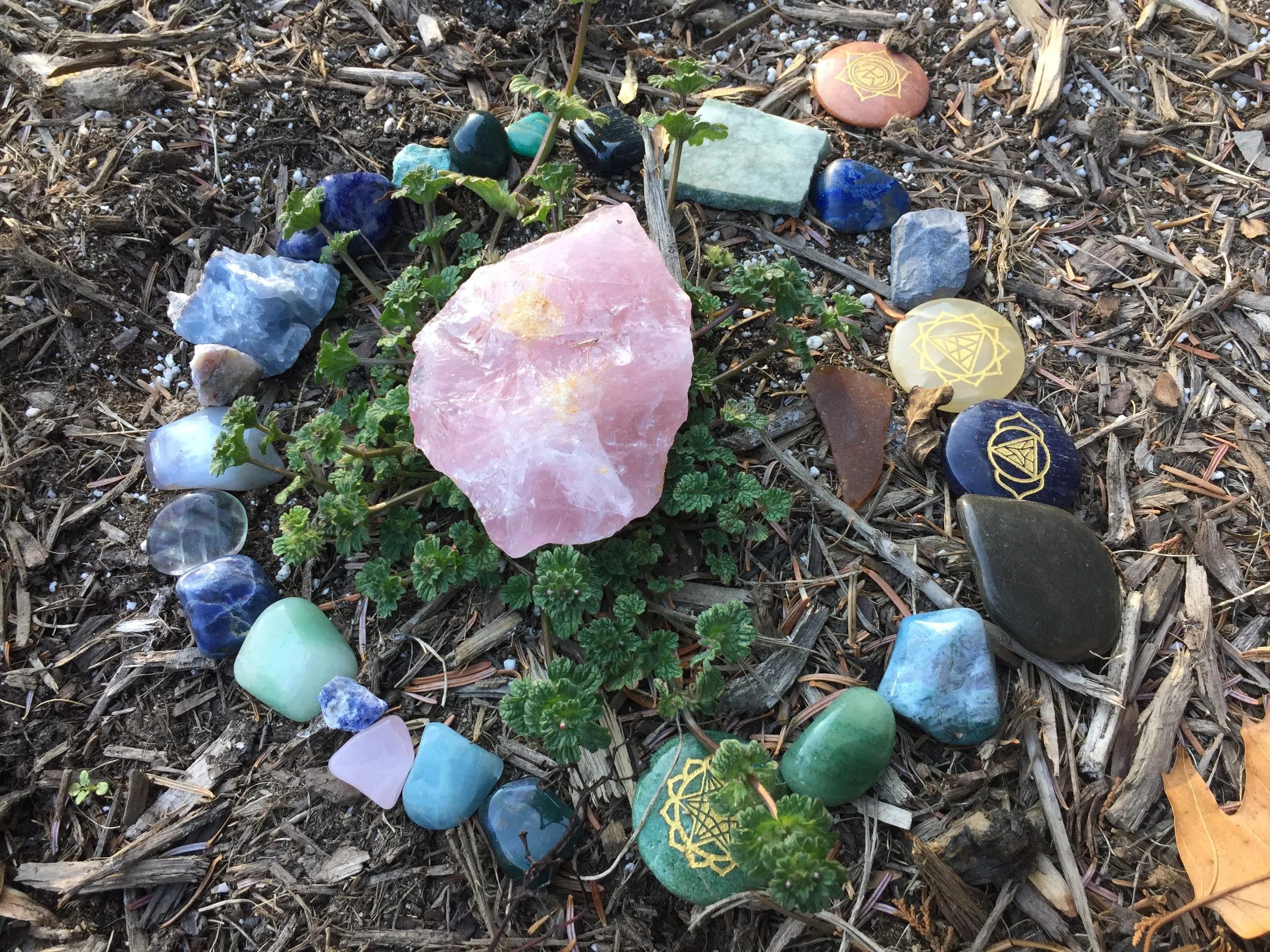 07-3-17-1017.jpg