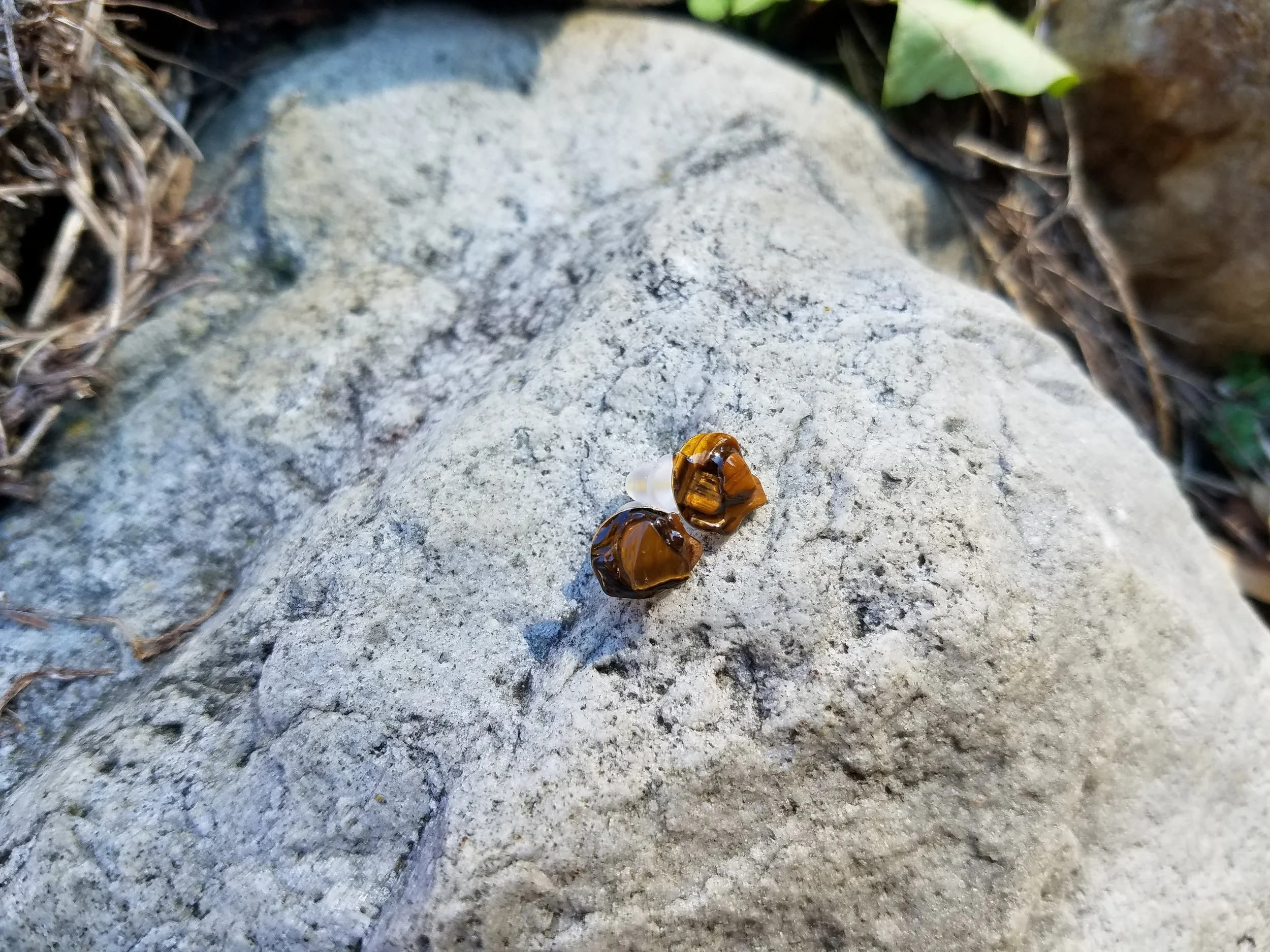 20181030_140326.jpg