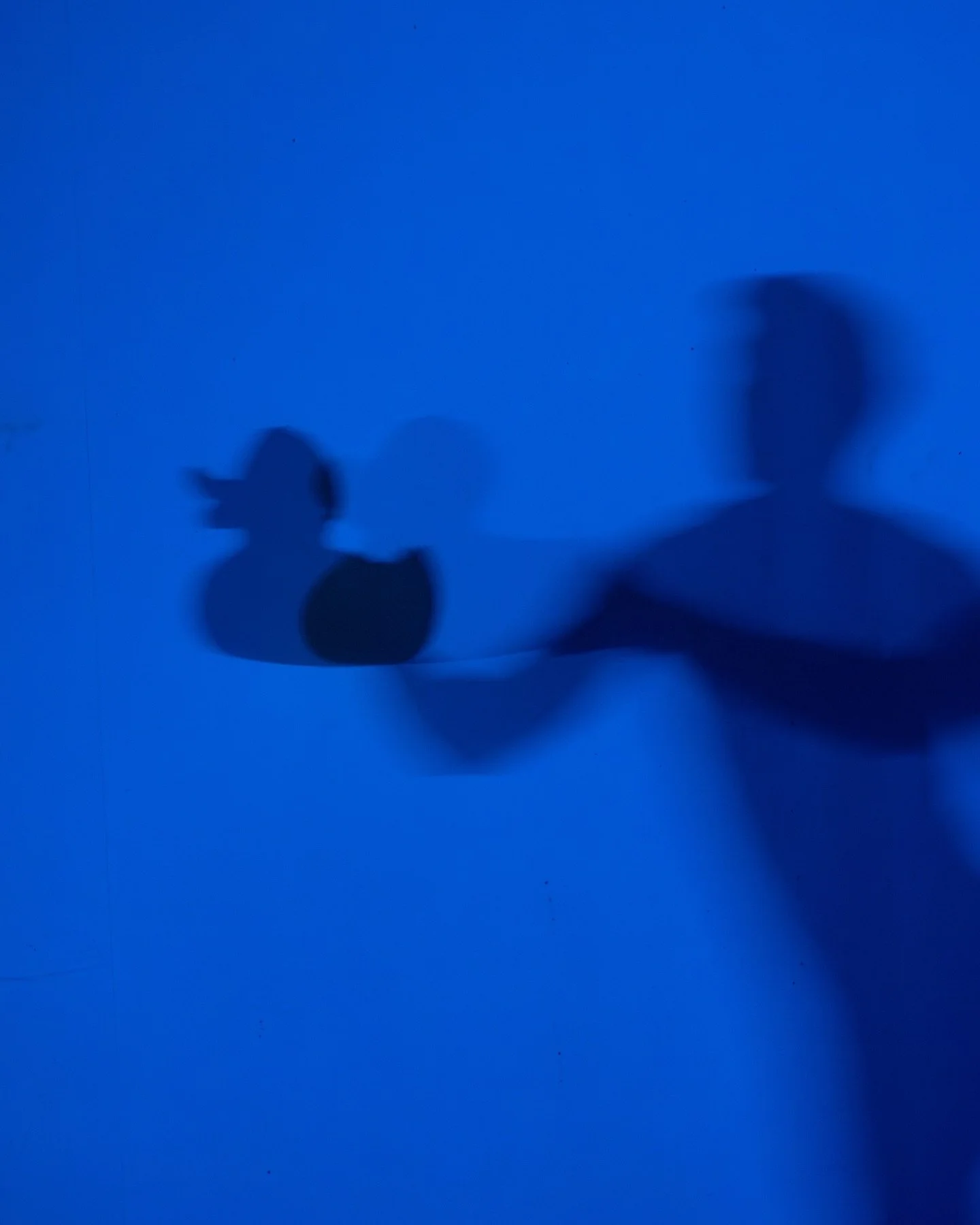 Today will be a very special and emotional day in Vienna.
First, it is the last show of the season for the @wienerstaatsballett, ending with my ballet &ldquo;M to M&rdquo; in the ballet evening &ldquo;Kreationen&rdquo;. Toi Toi Toi!
Last show with th