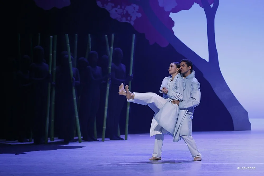 A ballet performance on stage with two dancers in white costumes, with a group of shadowed performers in the background holding green sticks, and a backdrop depicting a tree and sky.