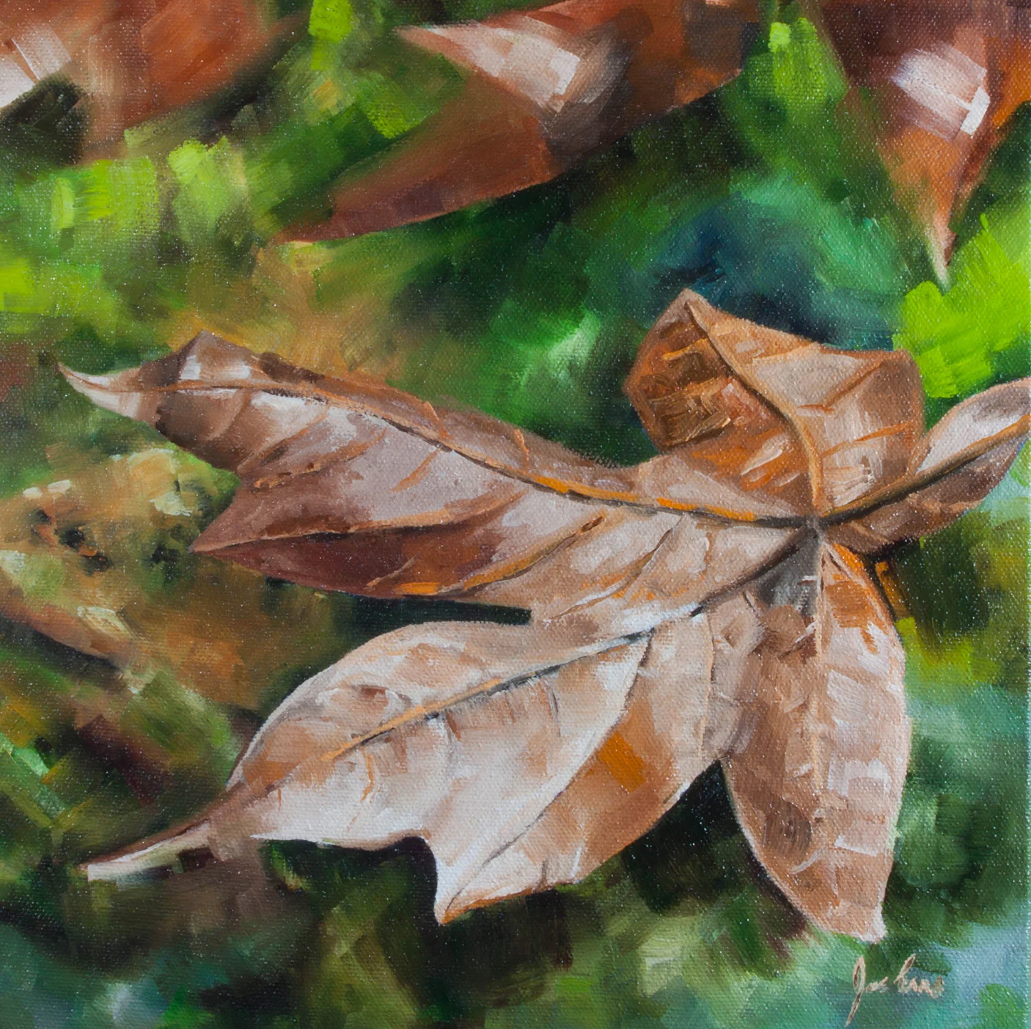 "Goldstream Maple Leaf" is a still life oil painting by Joe Enns from a photo that Joe took along the Goldstream River in Goldstream Provincial Park on Vancouver Island, British Columbia.