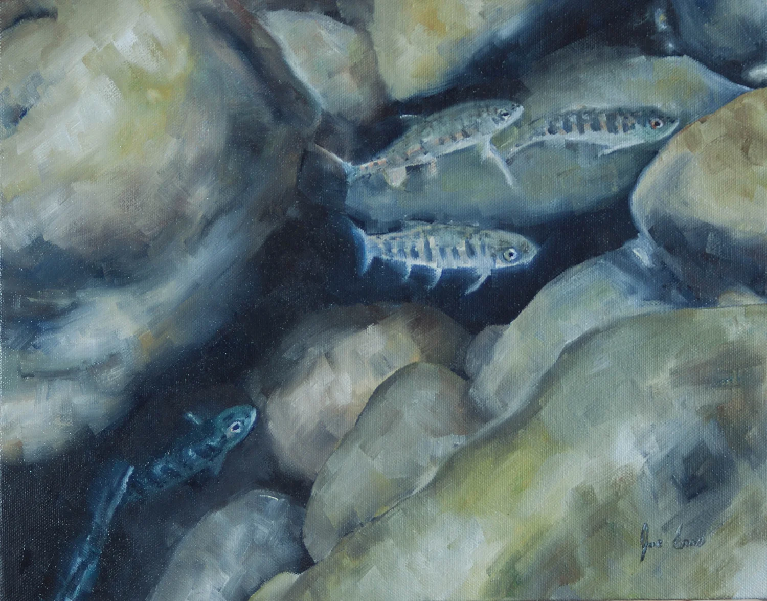 "Baby Rainbows 4" is a still life oil painting by Joe Enns done from an underwater photo that Joe took of juvenile Rainbow Trout (or Steelhead) in a tributary of Okanagan River in British Columbia.