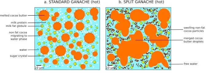 Figure 1. a. represents a standard emulsified ganache with the orange cocoa butter (fat) evenly distributed within the water phase of the cream. B. represents a broken or “split” ganache where the orange cocoa butter is not evenly distributed, and coalesces together giving the ganache a greasy appearance.