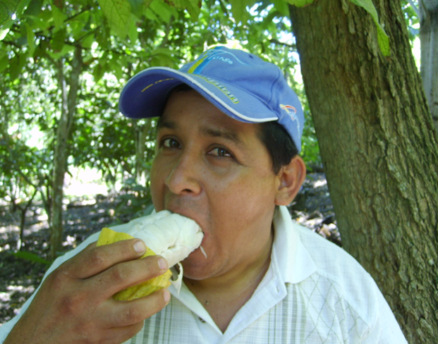 Tasting some delicious cacao fruit. Photo credit: Albertus Eskes.