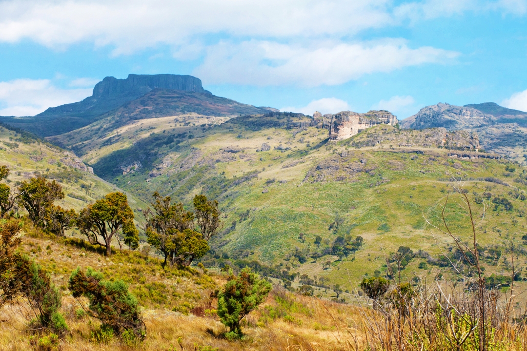 Landscape_of_Mount_Elgon_National_Park_Kenya_175584224.jpg