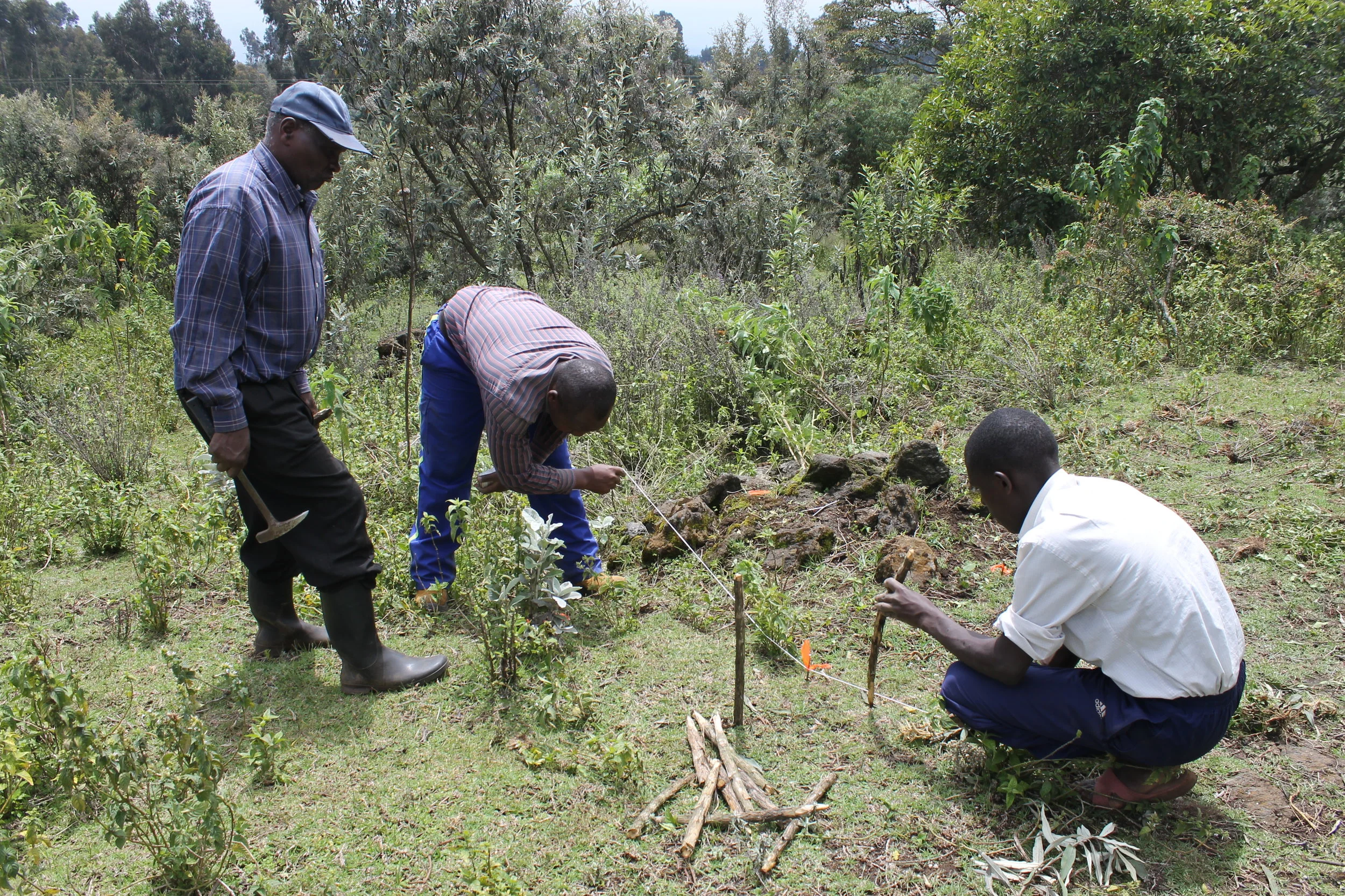 Mapping and laying grids at an obisidian outcrop on the upper slopes of Mt. Eburru
