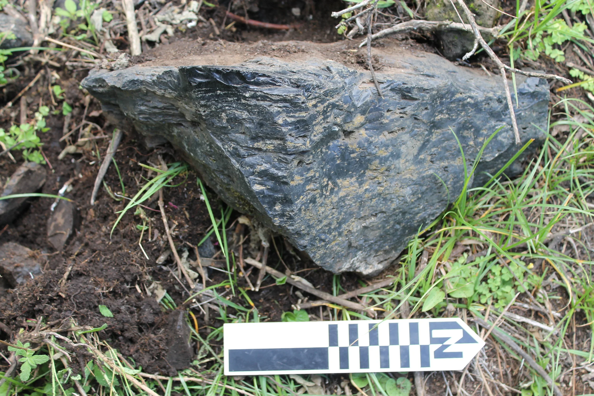 Raw obsidian nodule 