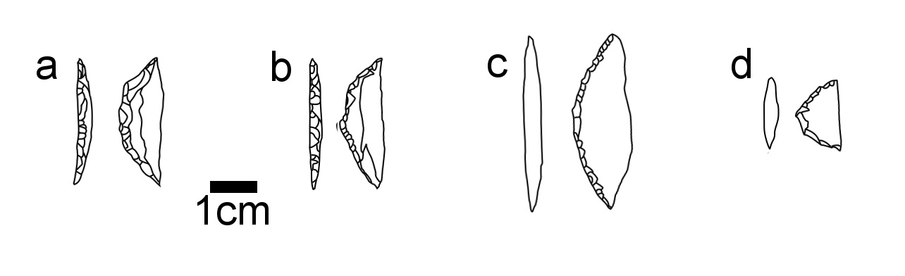 Figure 1.jpg