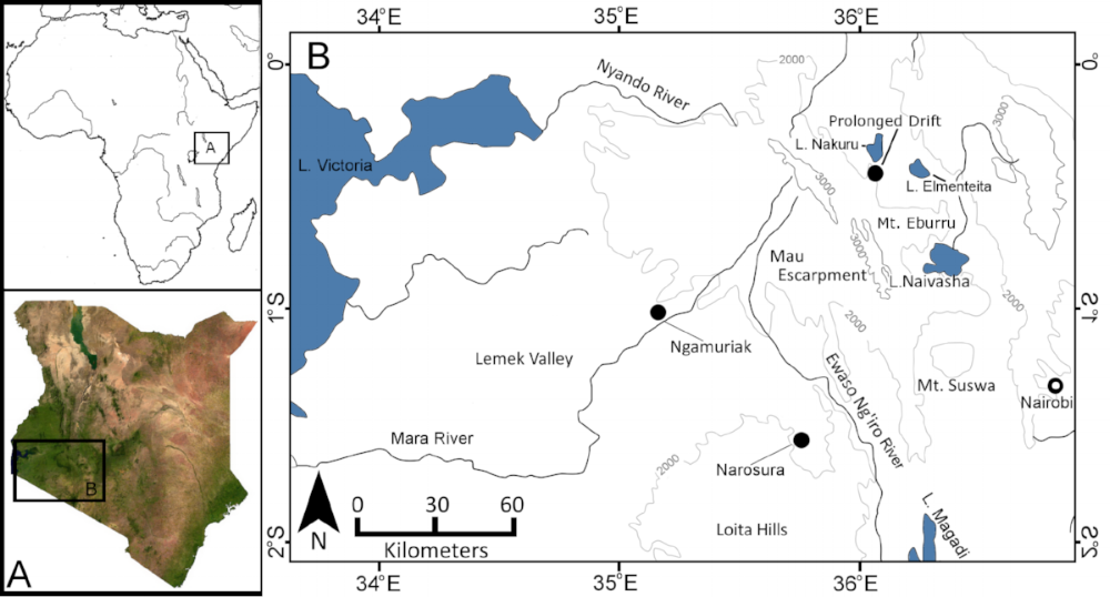 Pastoralist sites in southwestern Kenya with large assemblages of backed crescents. (Goldstein and Shaffer 2017).