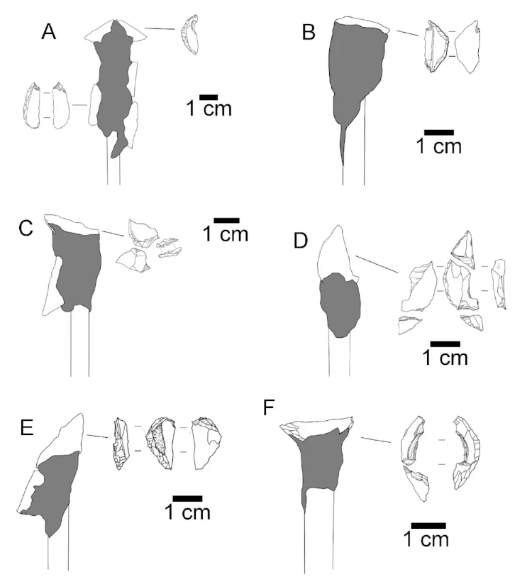 Examples of crescent damage from use in arrows.