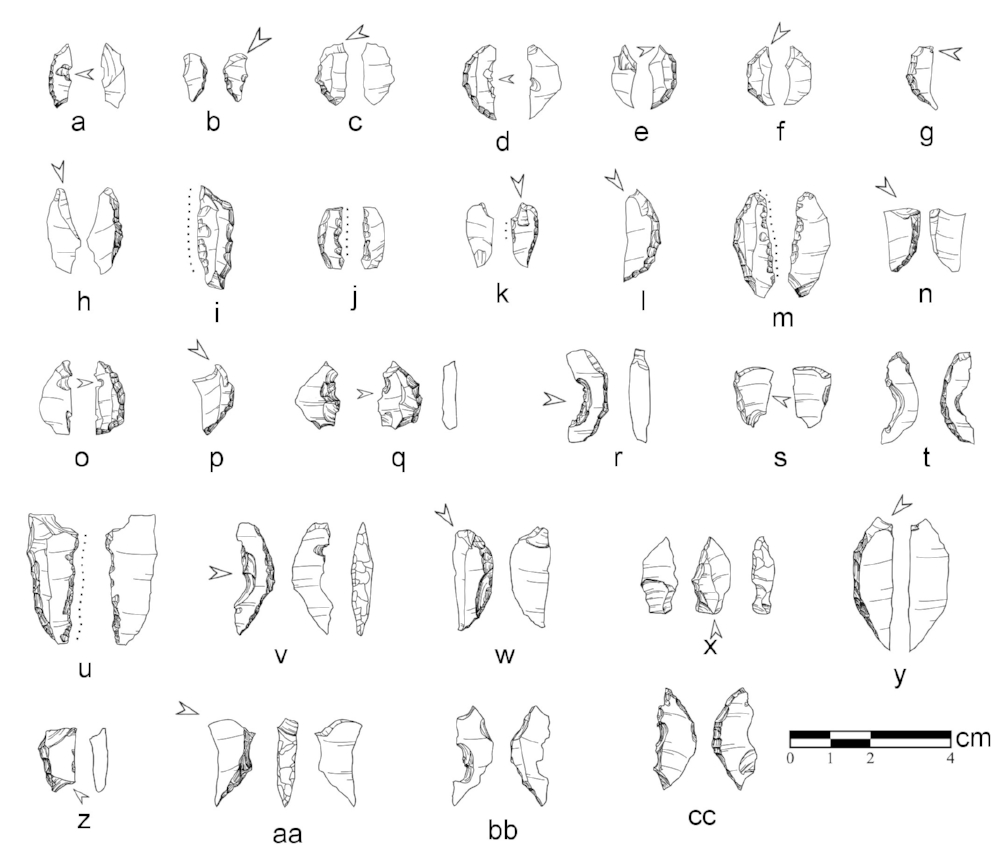 Examples of edge damage and probable impact fracture on archaeological microliths from PN sites.