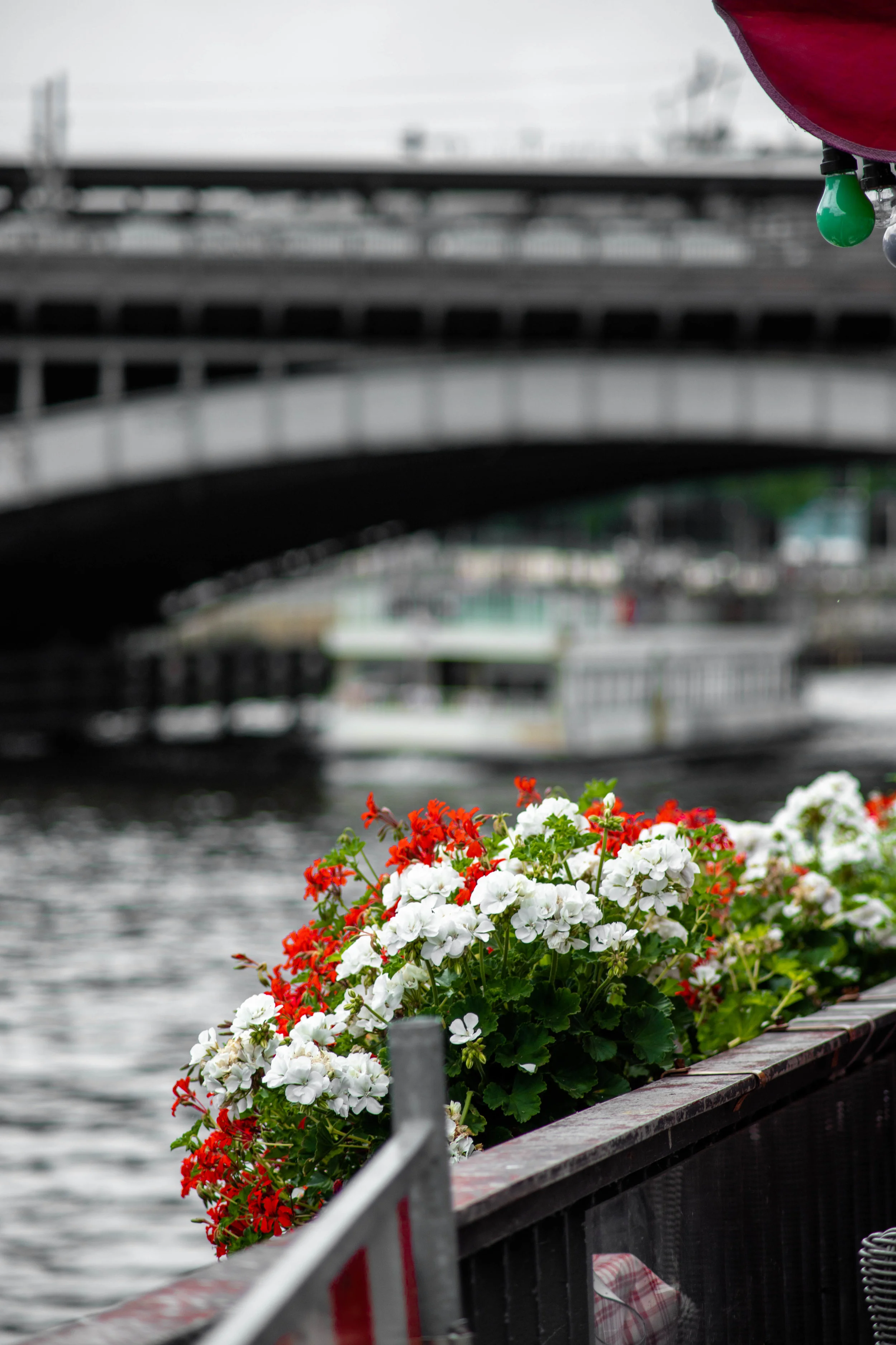Lonely boat-2.jpg