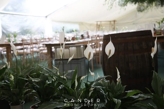 170915WeinigerFri-60 FB C.jpeg