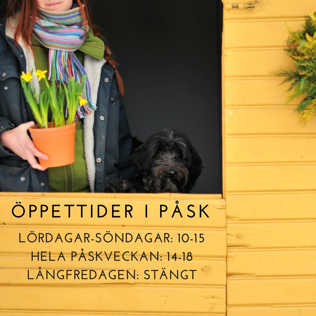 öppettider.jpg