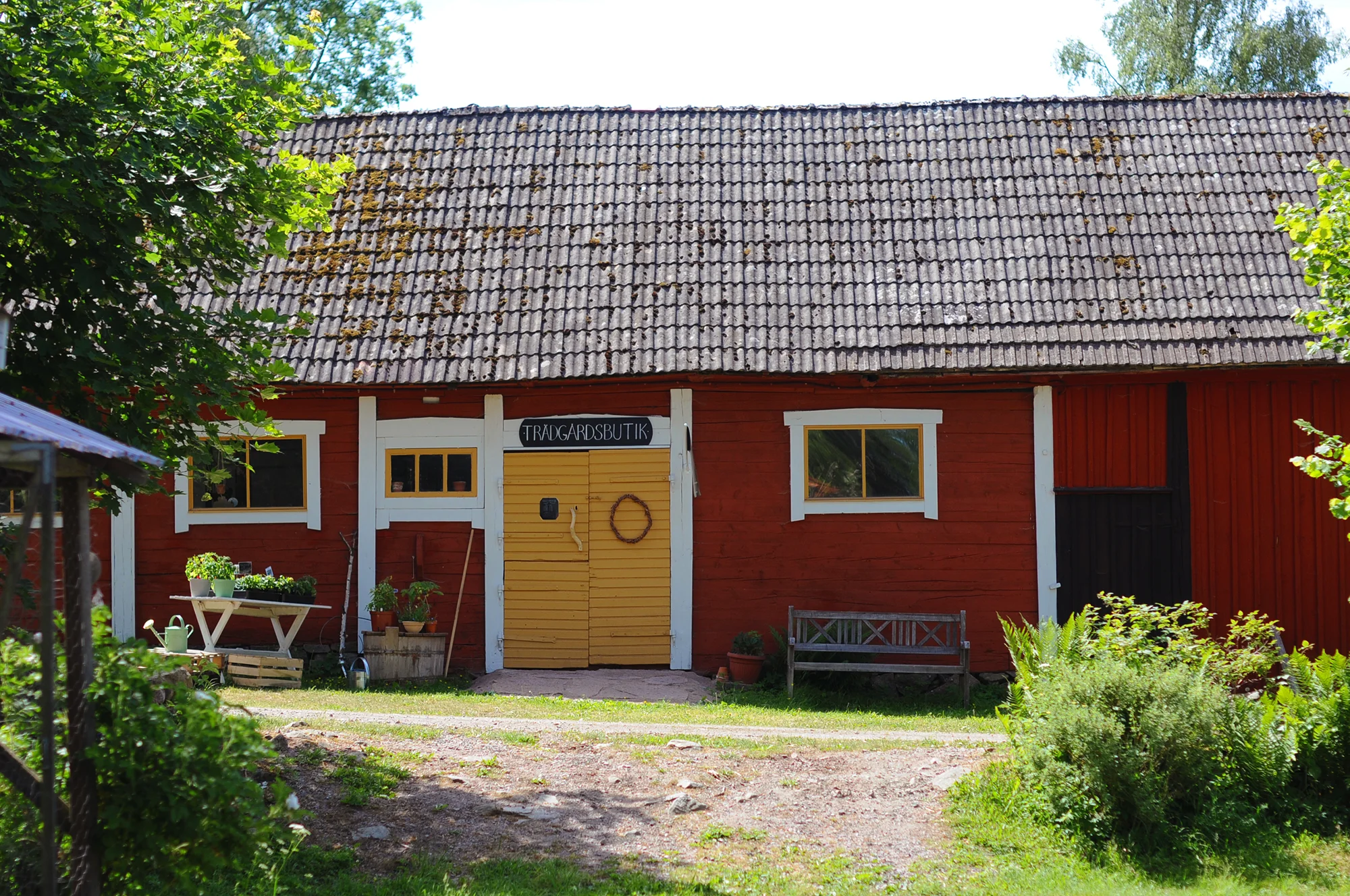 DSC_4310.jpg