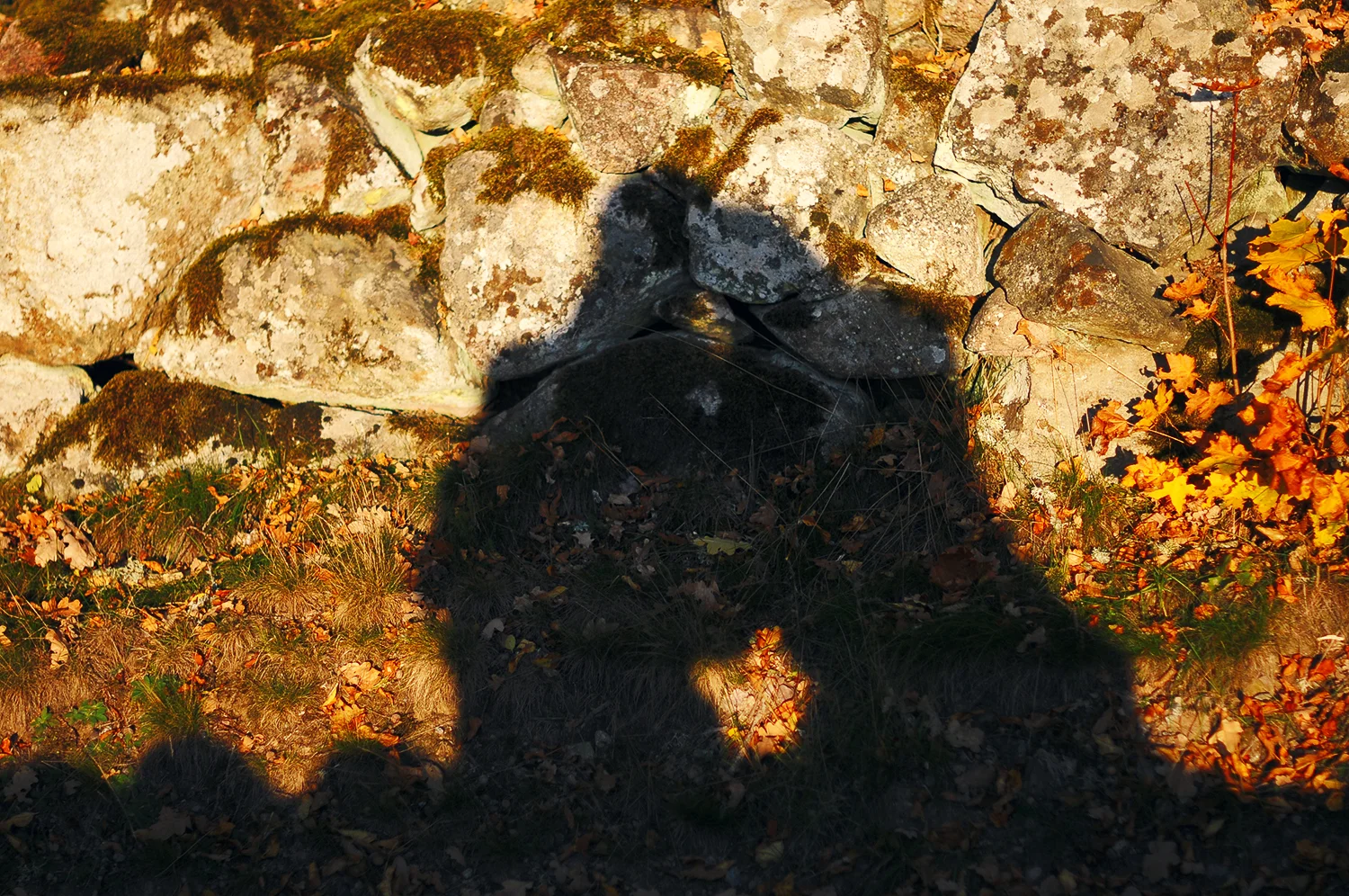 DSC_1329.jpg