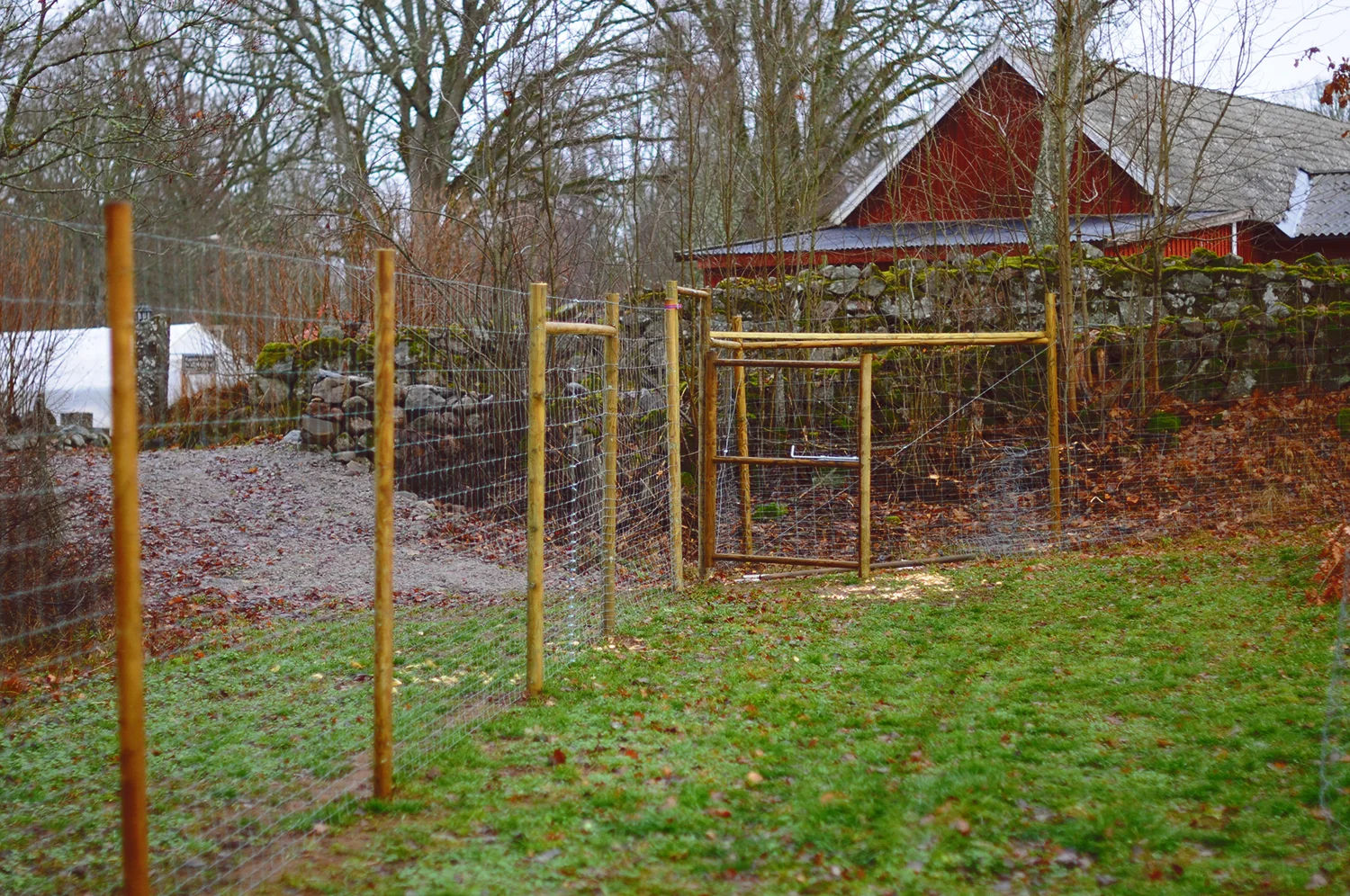 DSC_5734.jpg