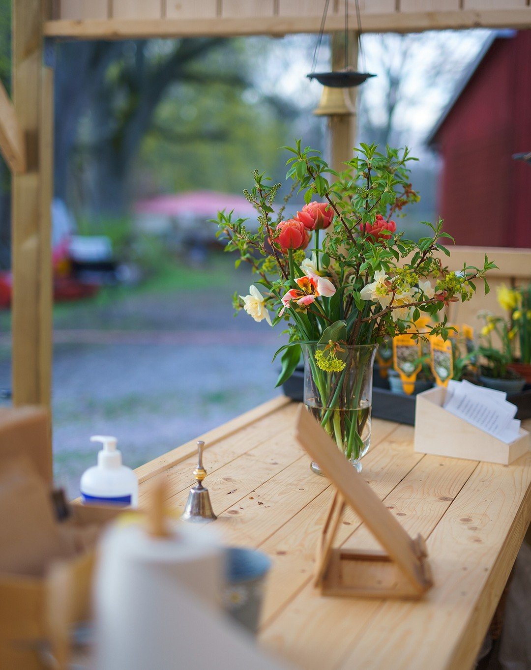 Denna vecka har vi mycket skoj att kolla in! 😊 J&auml;ttefina och ett rej&auml;lt utbud av pens&eacute;er och flera nya v&aring;rblommor (gyllenlack, f&ouml;rg&auml;tmigej, tusensk&ouml;na mm). Lite kryddv&auml;xter har vi ocks&aring;. Perenner och 