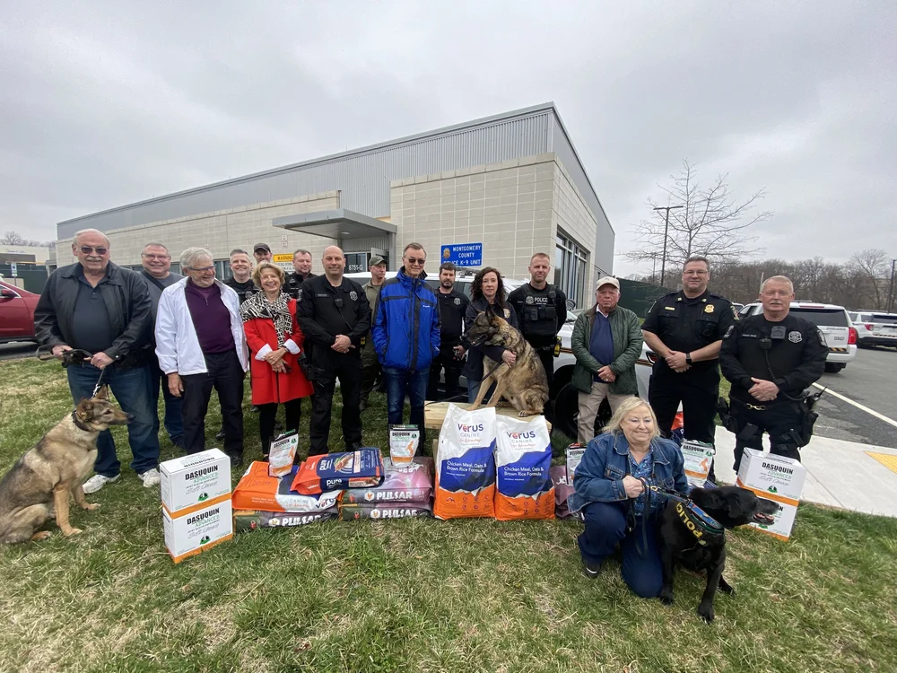 Can A Dog Overdose On Dasuquin