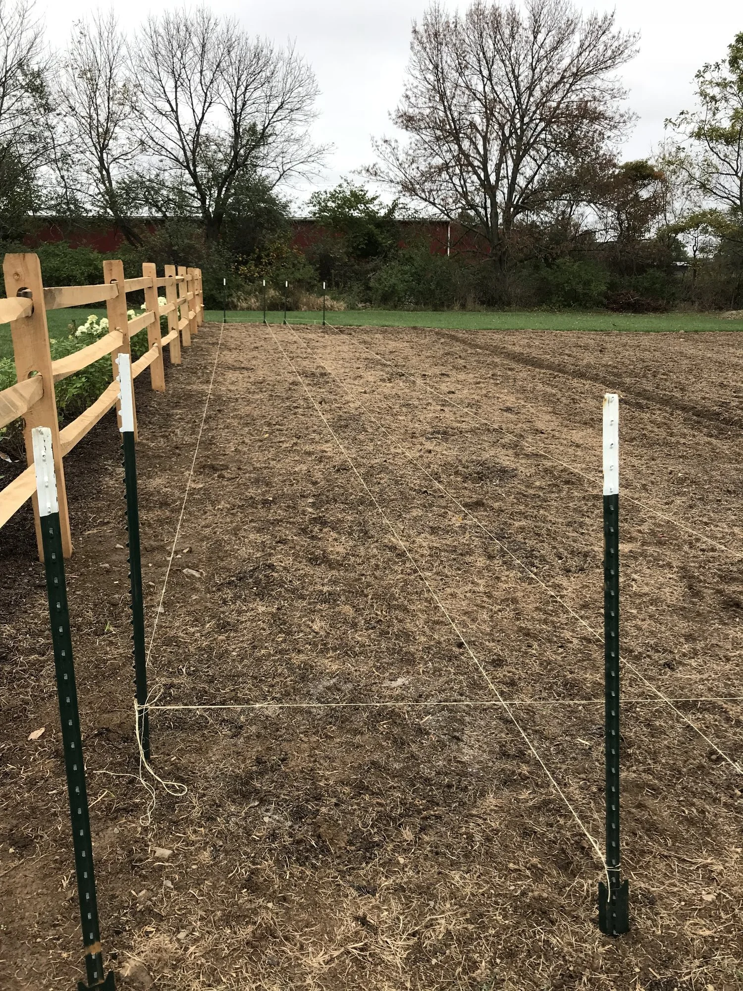 Plotting Rows - We did 80 ft x 4 ft sized rows. October 13, 2017