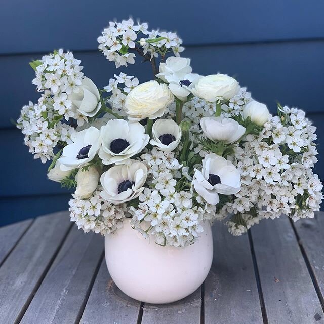Playing around this week with 2-3 ingredient arrangements. This one is white ranunculus, anemones, and some branches from our blooming pear tree. What do you think? We are kinda loving this combo!