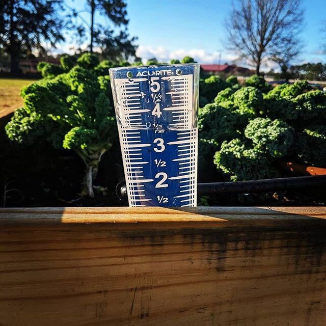 What do you do when you get over 3 inches of rain in the garden and the ground is soaked? 
You head over to the greenhouse and begin filling trays with @promixgardening seed starter mix so you can grow your own tomatoes, peppers, herbs, and eggplants