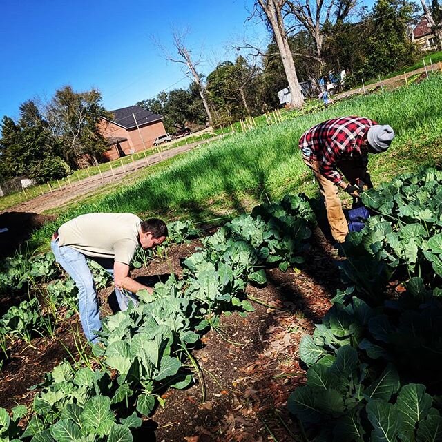 Lettuce work together and grow a healthier community where young people and adults are working beside each growing food to feed our neighbors. 
Volunteers are the heart and soul of Flint River Fresh. Our farms are designed for human, not machine labo